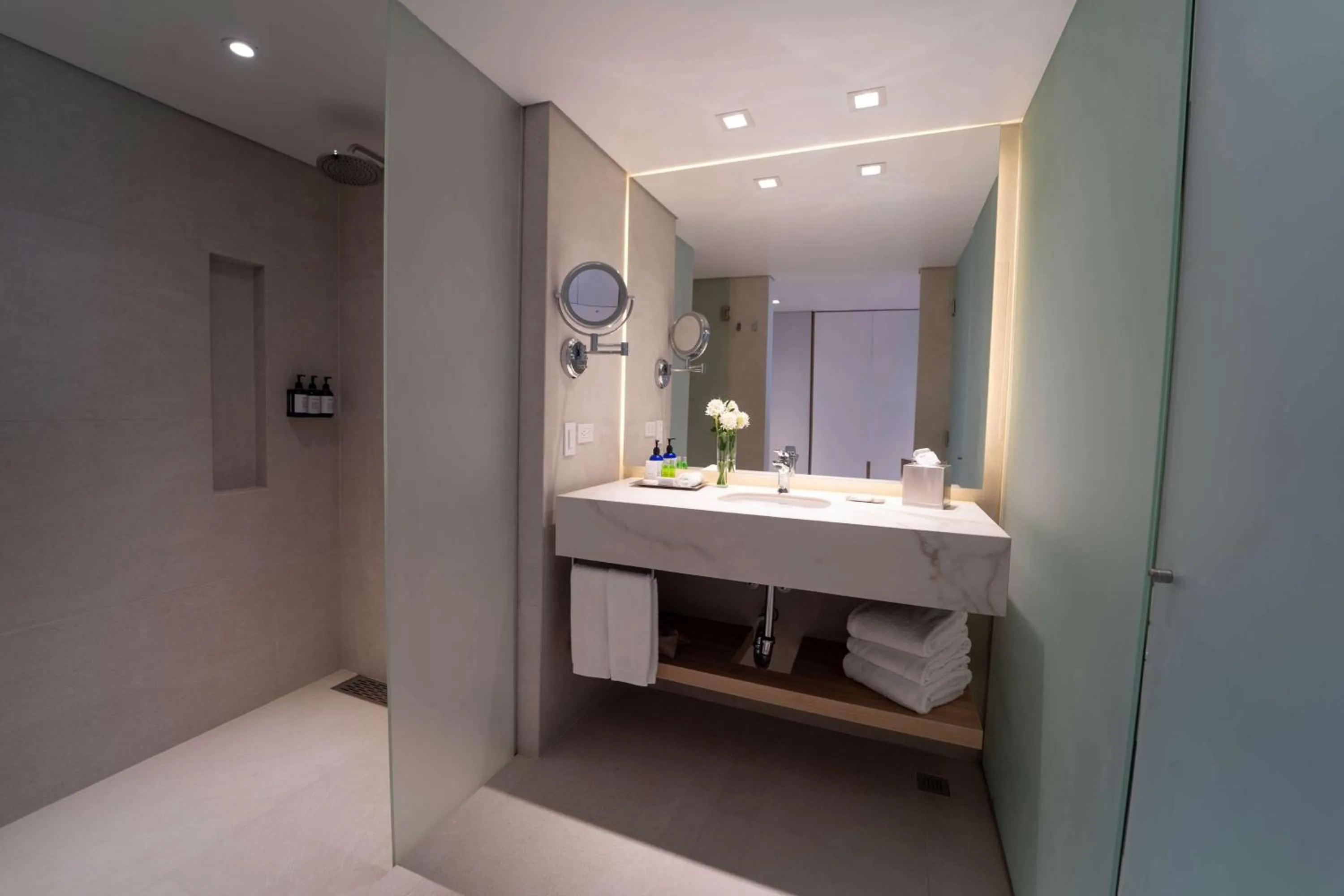 Bathroom in Hilton Cartagena