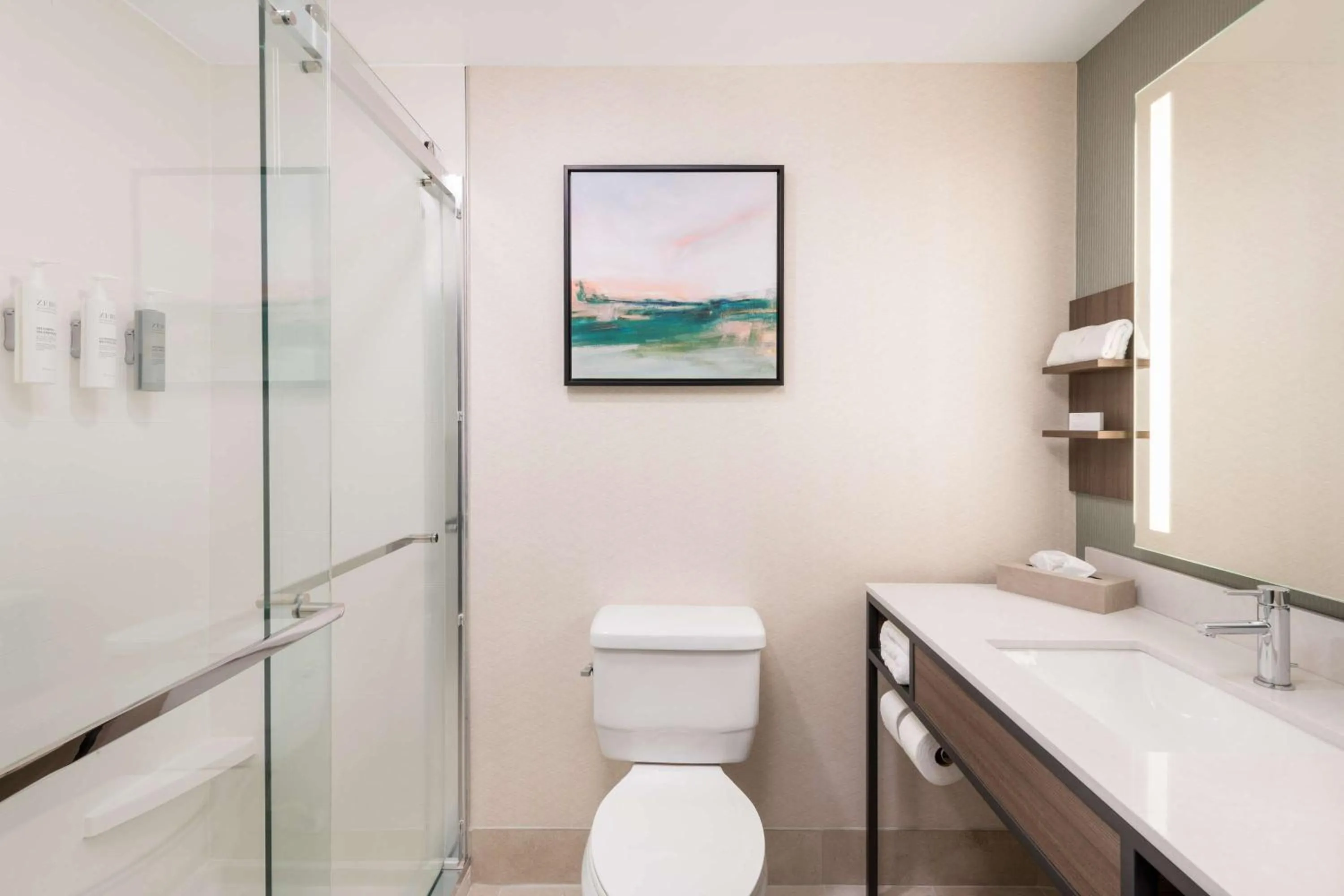 Bathroom in Hilton Garden Inn Atlanta/Peachtree City