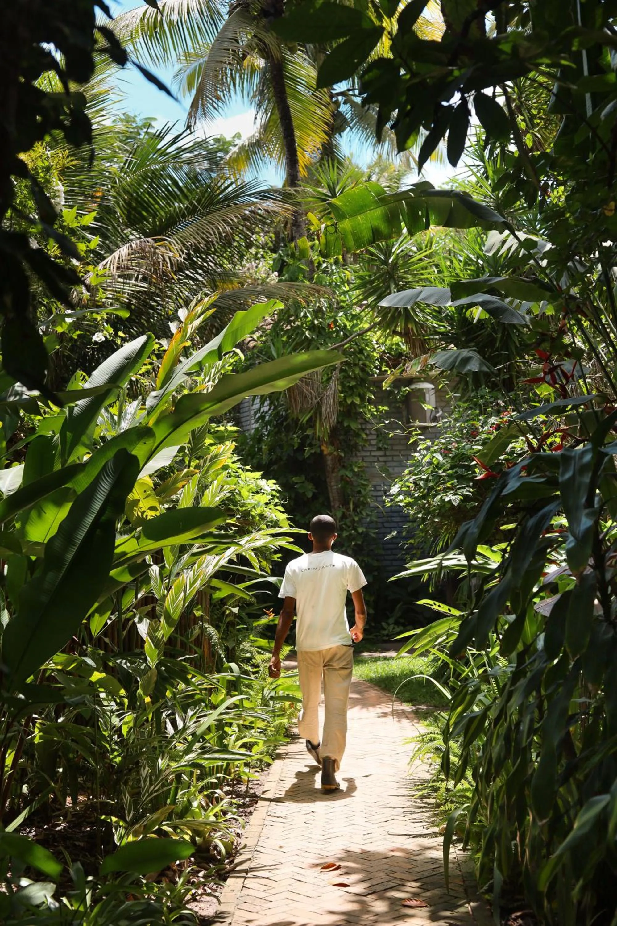 Area and facilities in Pousada Capim Santo