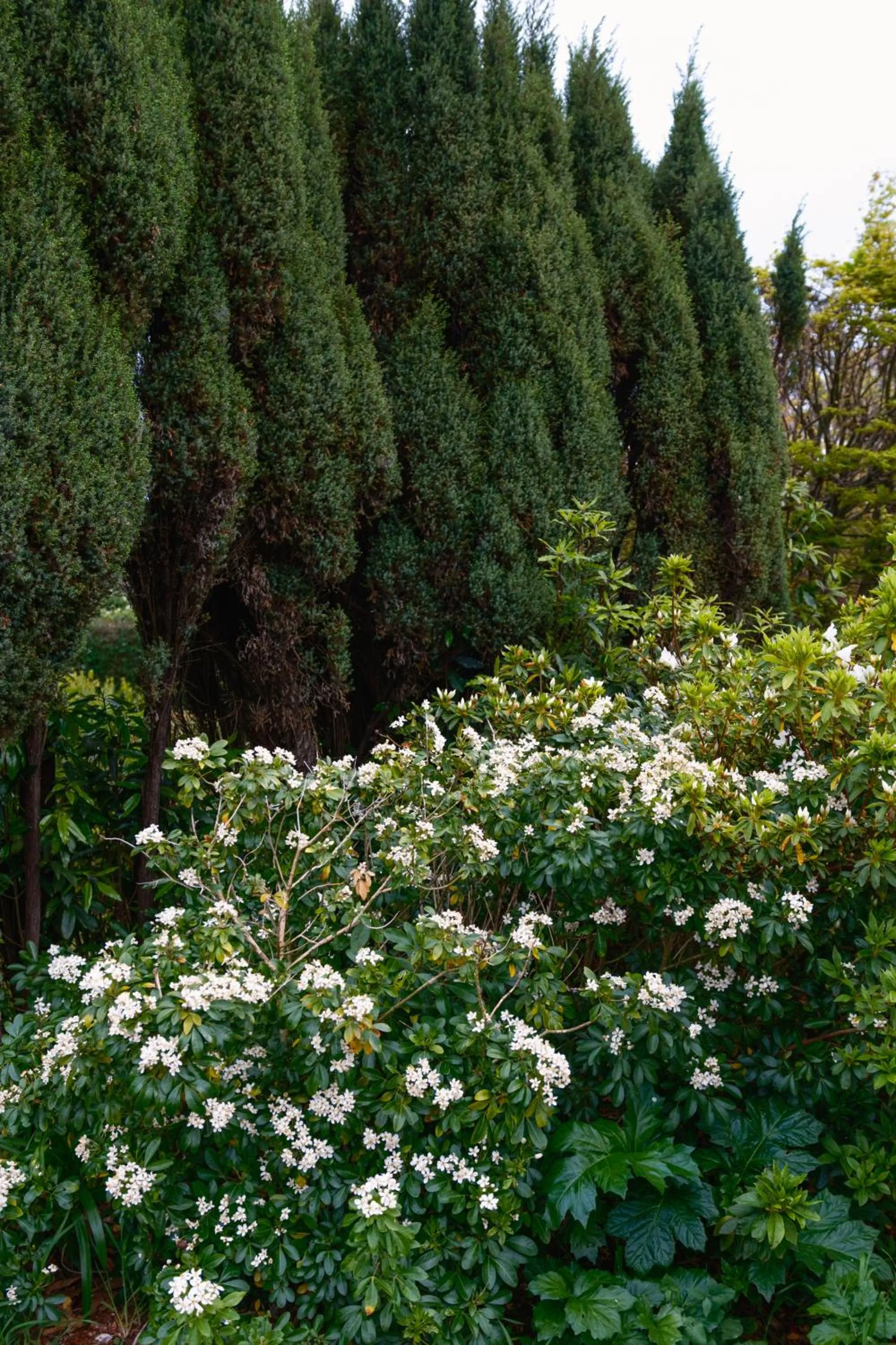 La Maison Boutique Hotel