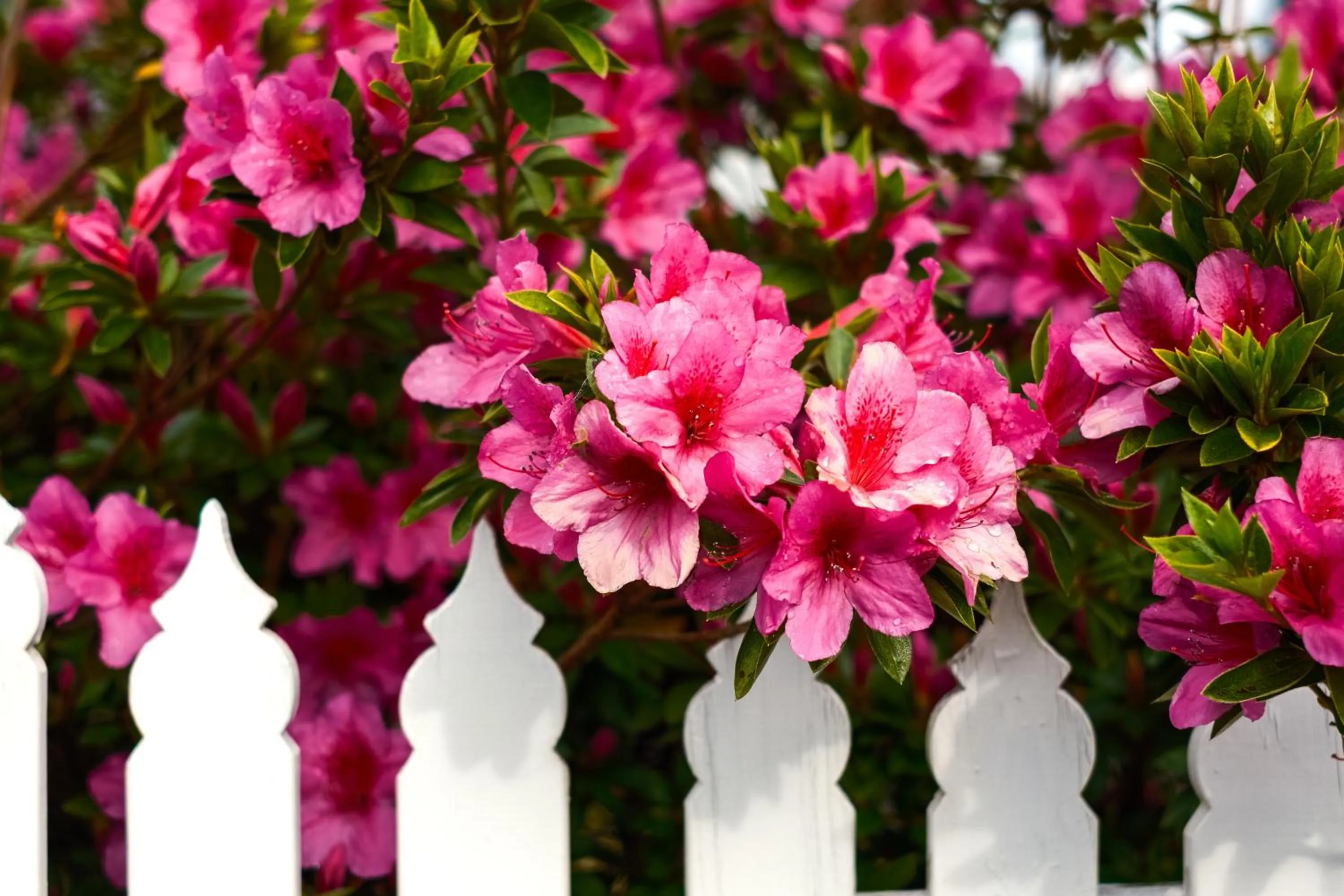 La Maison Boutique Hotel