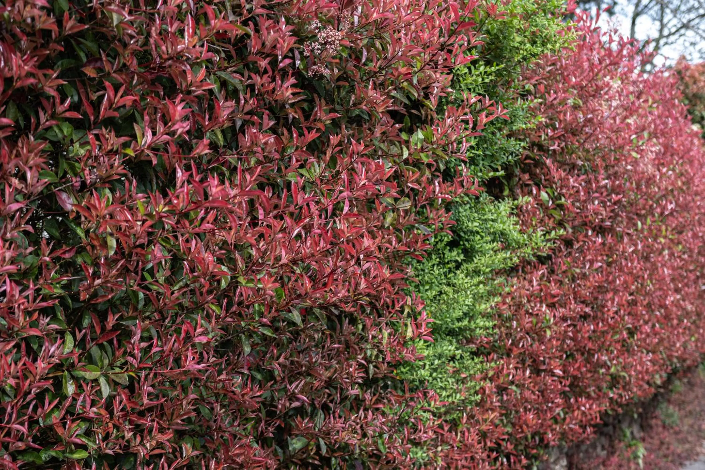 La Maison Boutique Hotel