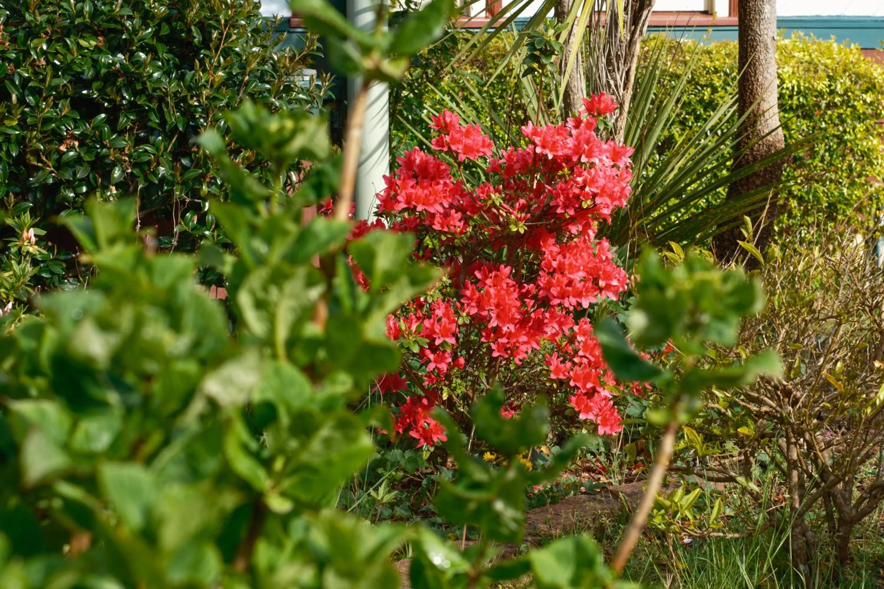 La Maison Boutique Hotel