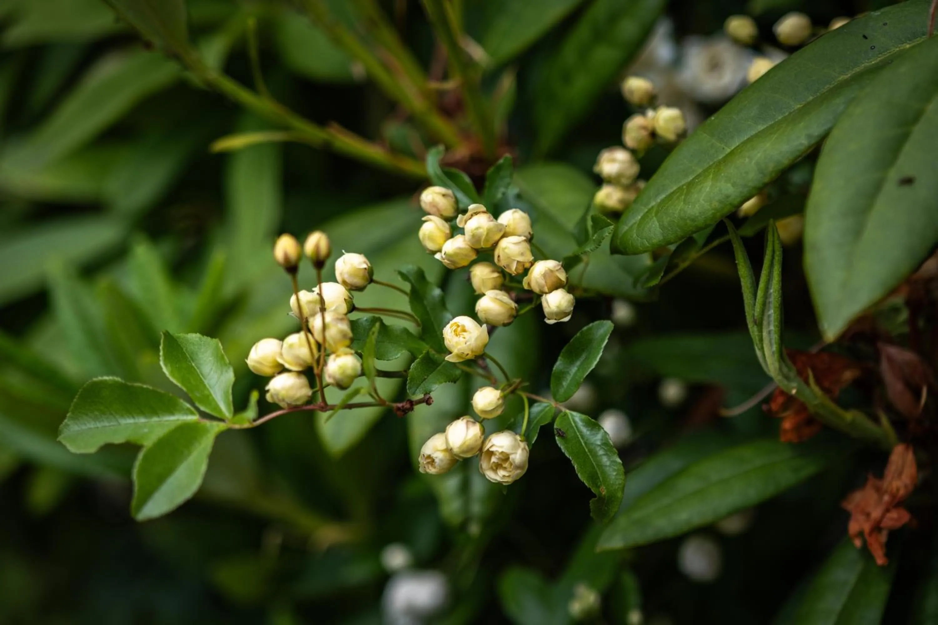 La Maison Boutique Hotel