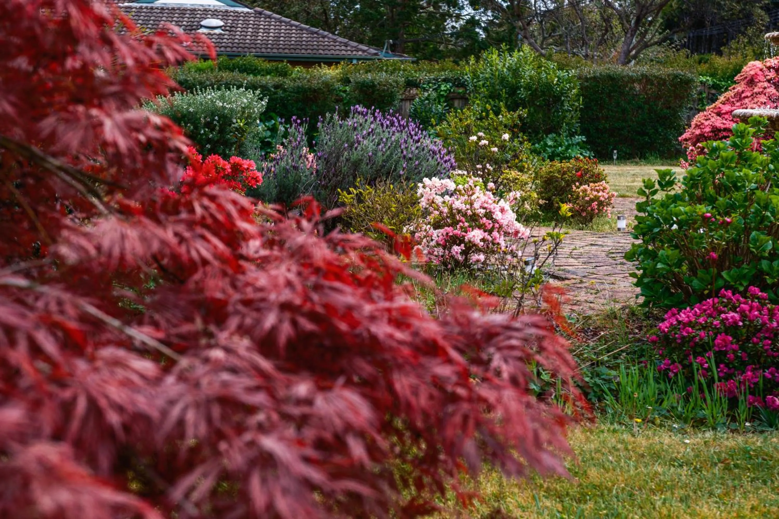 La Maison Boutique Hotel