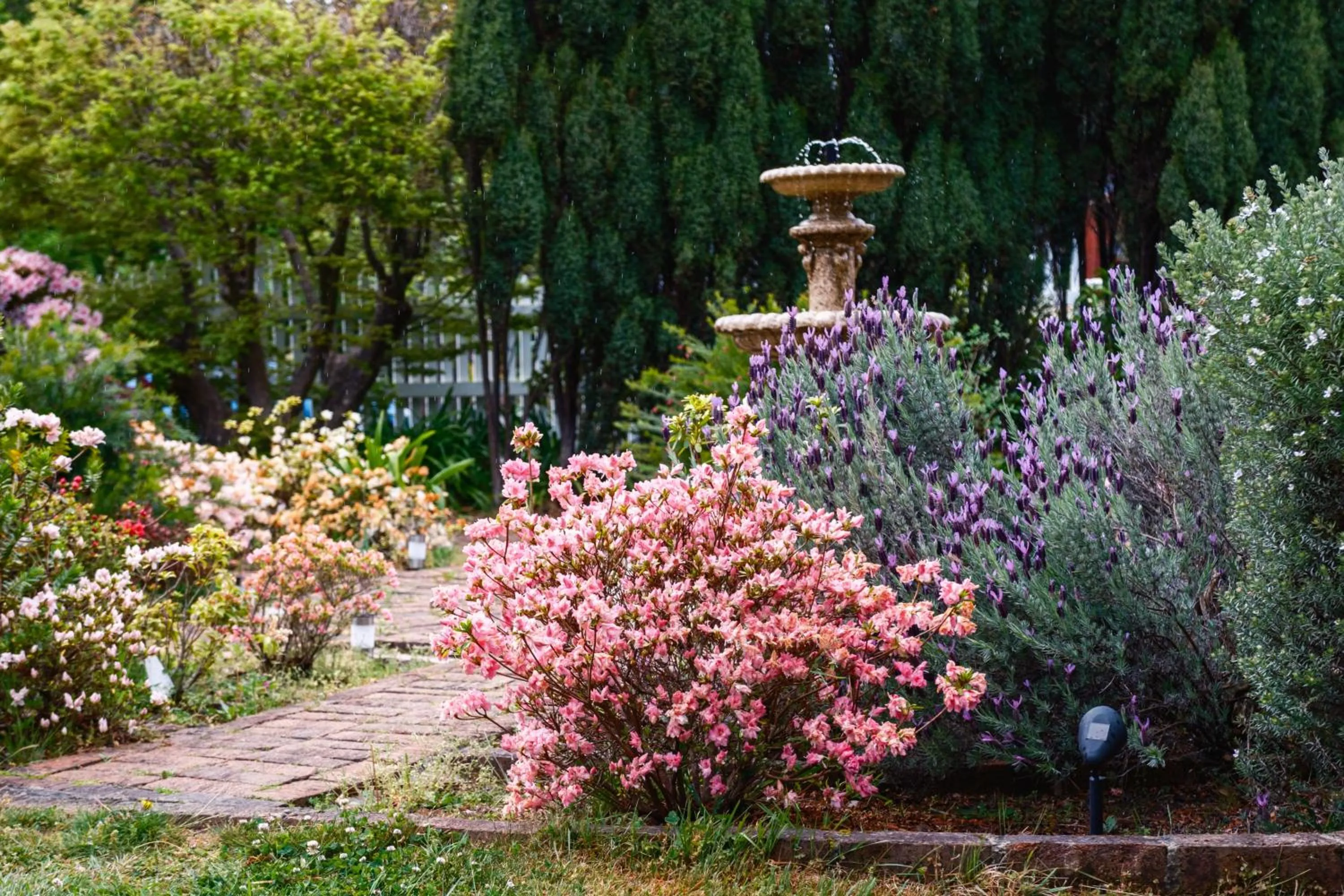 La Maison Boutique Hotel