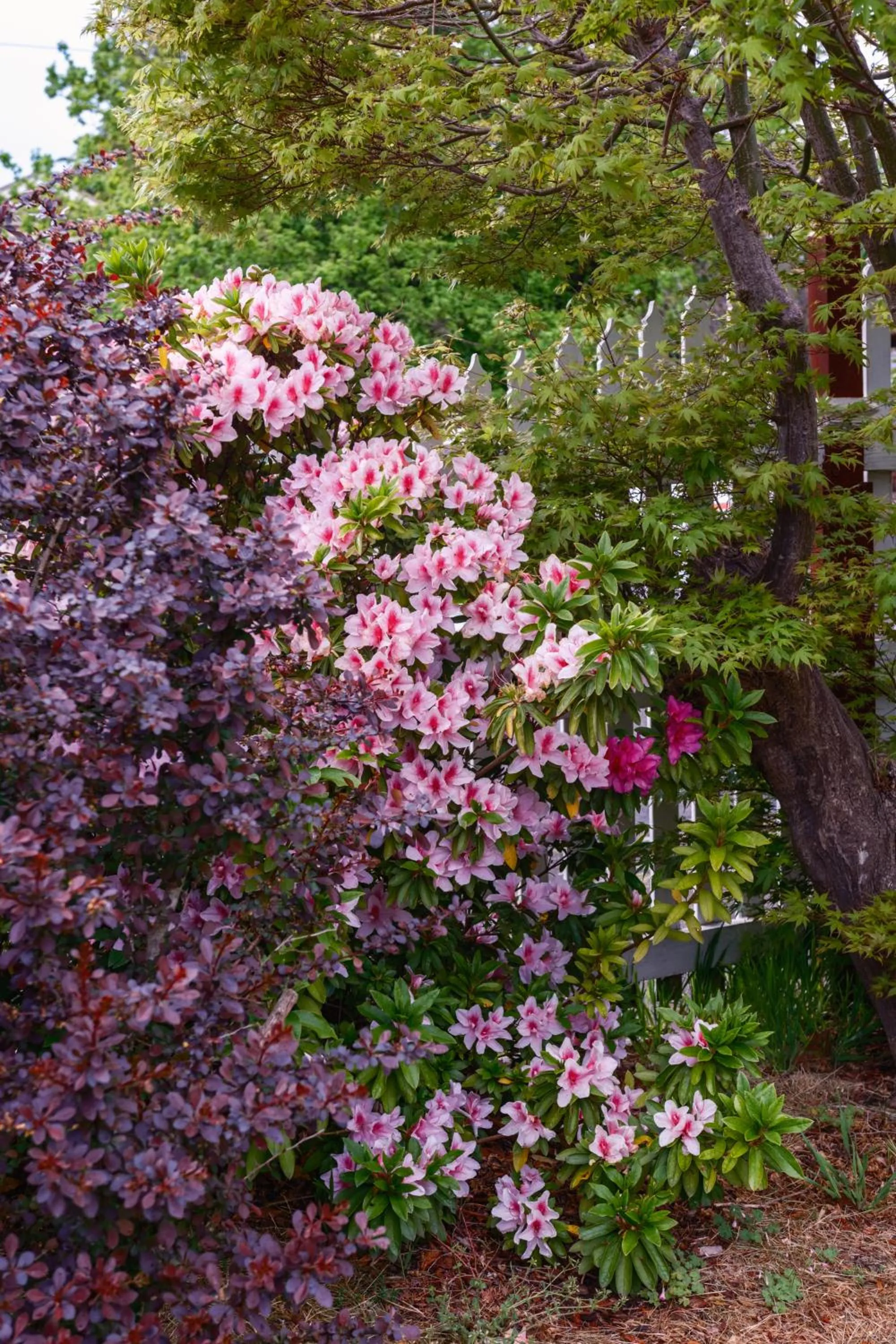 La Maison Boutique Hotel