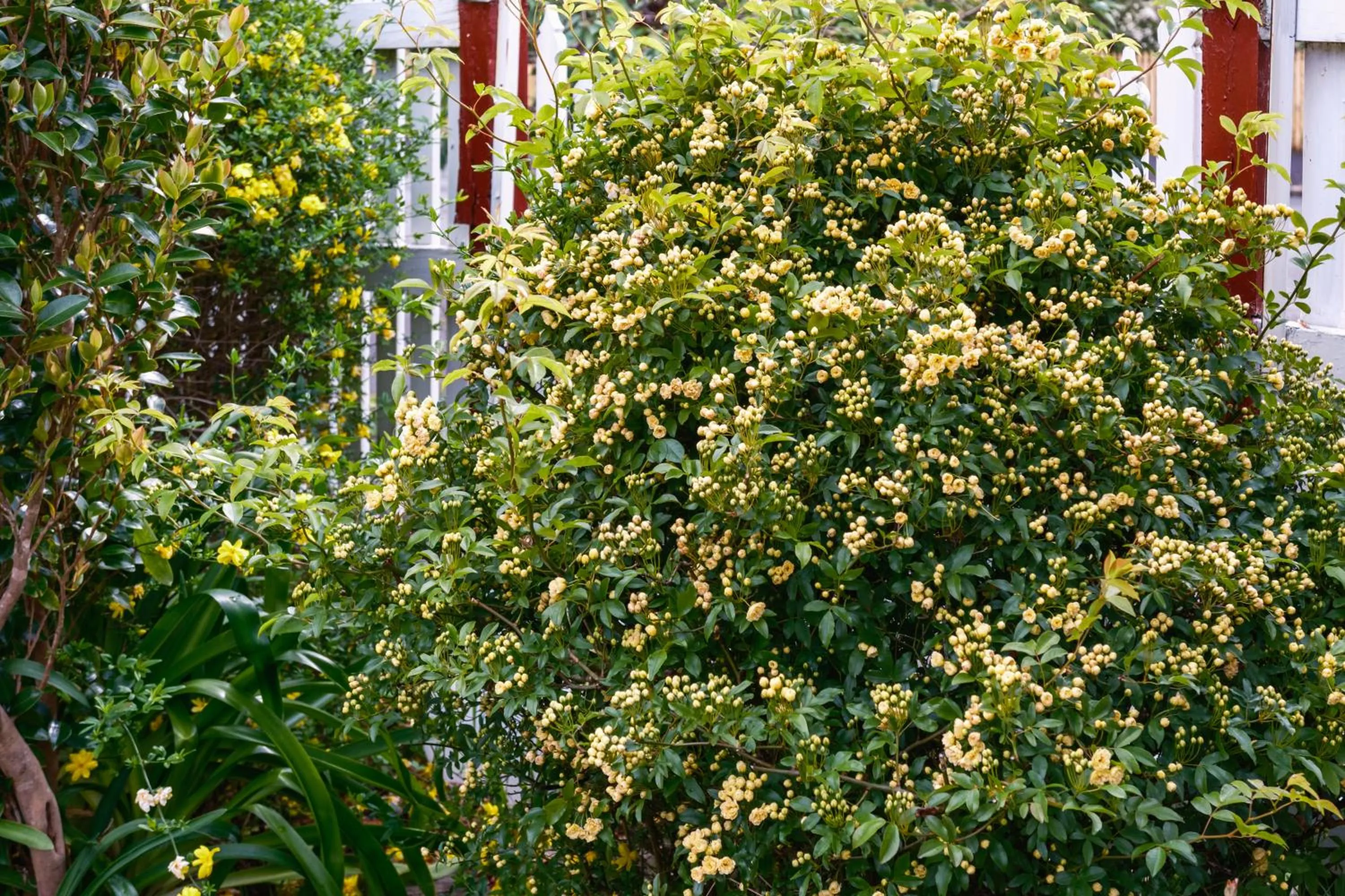 La Maison Boutique Hotel