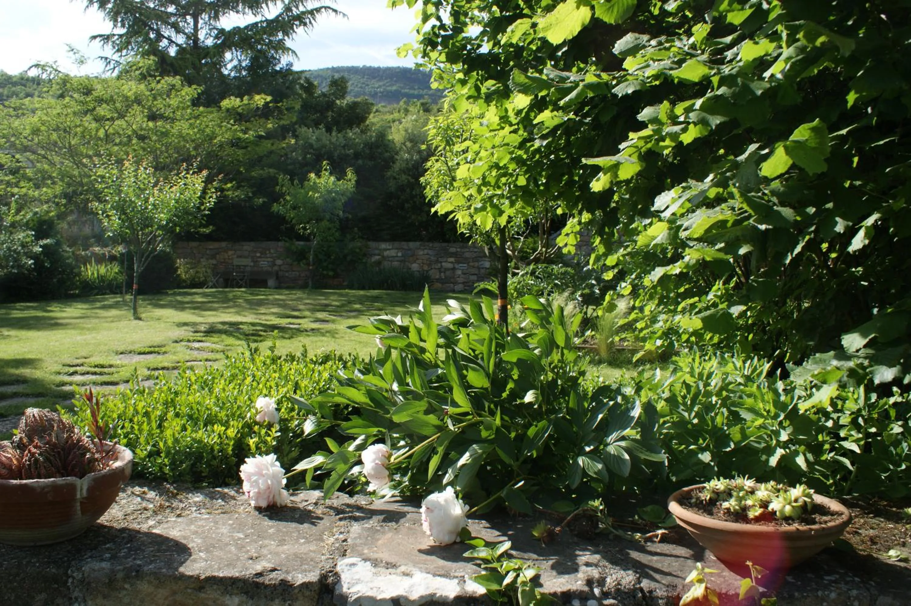 Spring in Les FREJALS