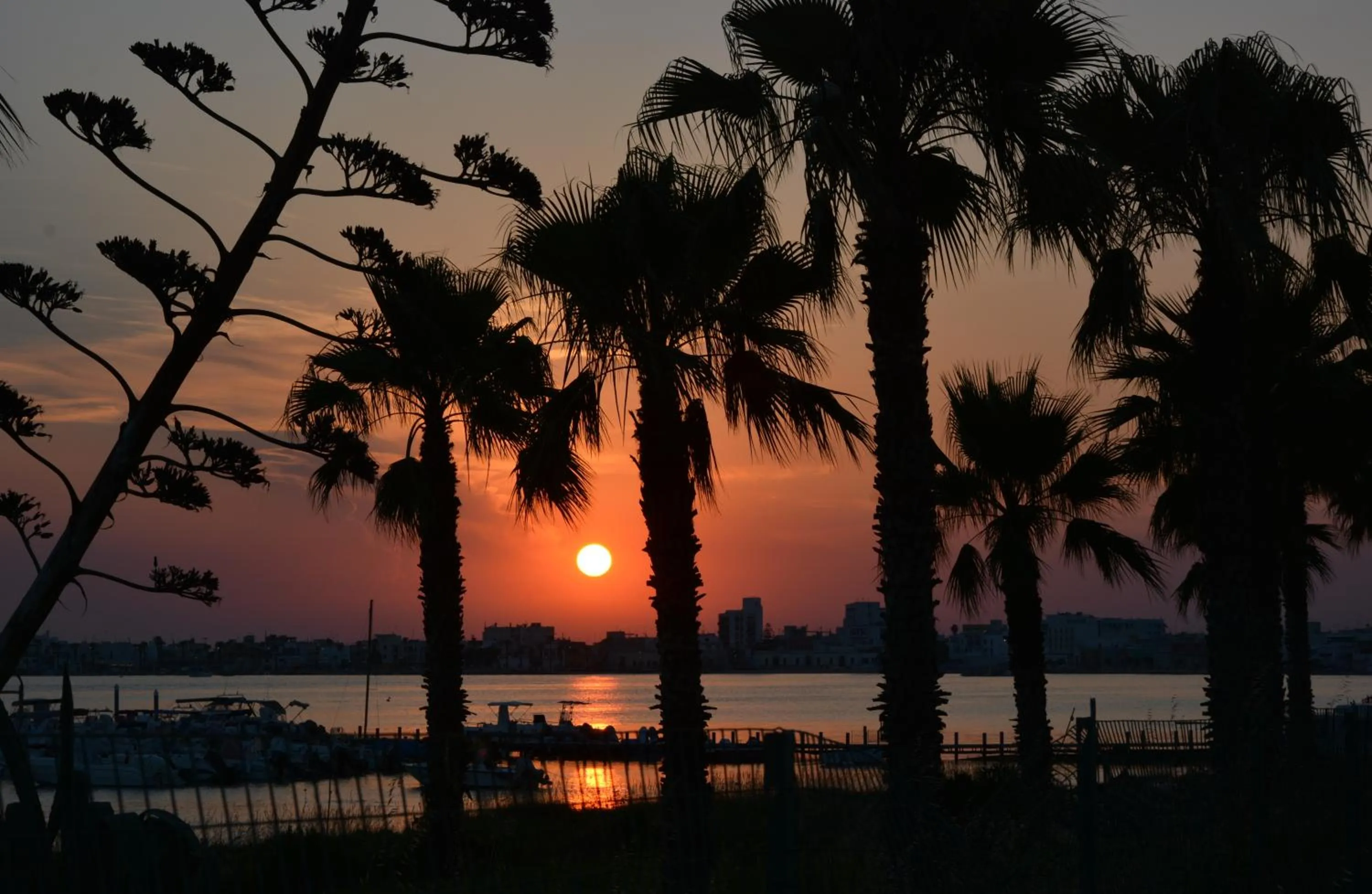 Natural landscape in Casina Bellanova