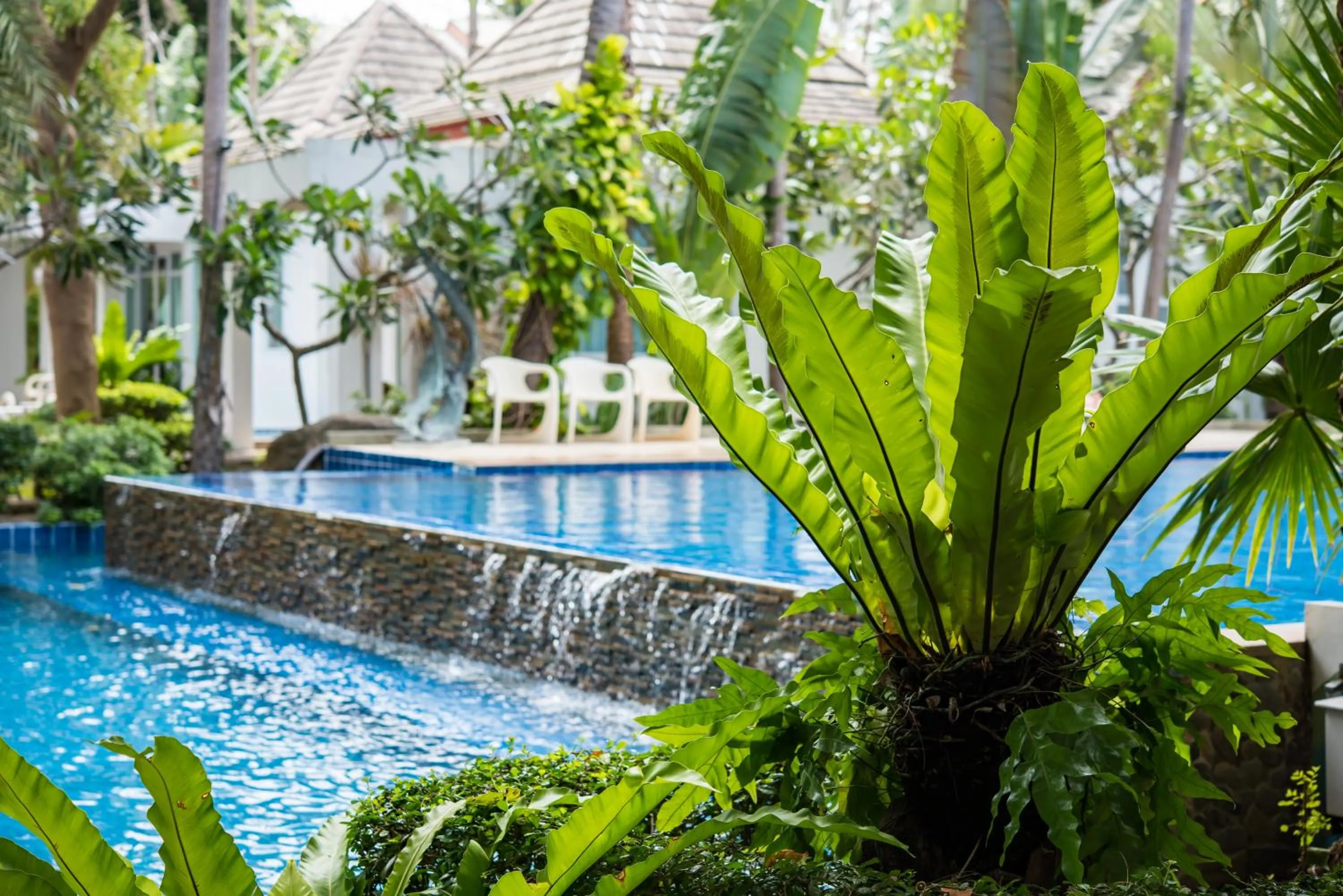 Swimming pool in Koh Tao Montra Resort