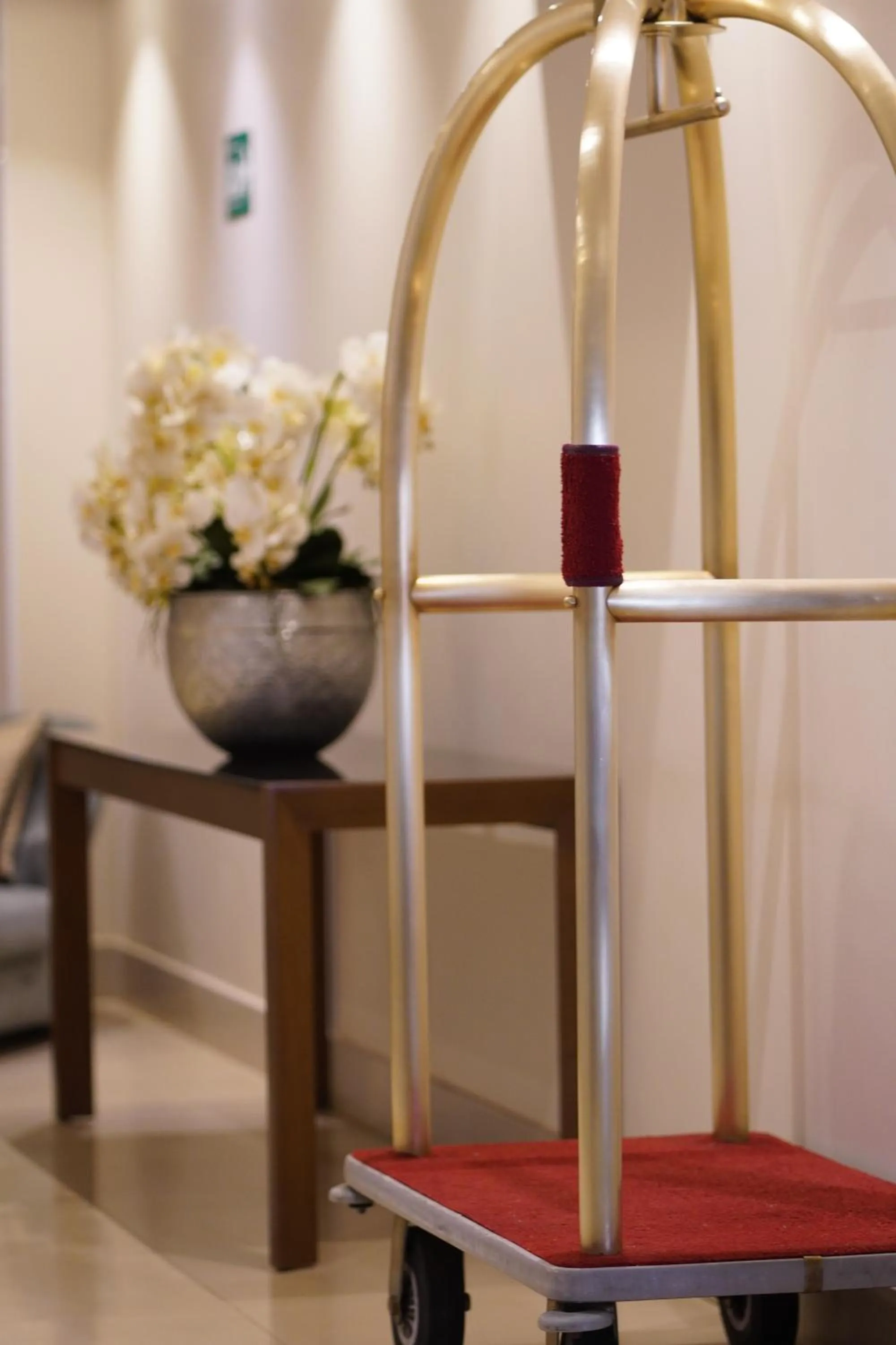 Lobby or reception in Radisson Hotel Anápolis