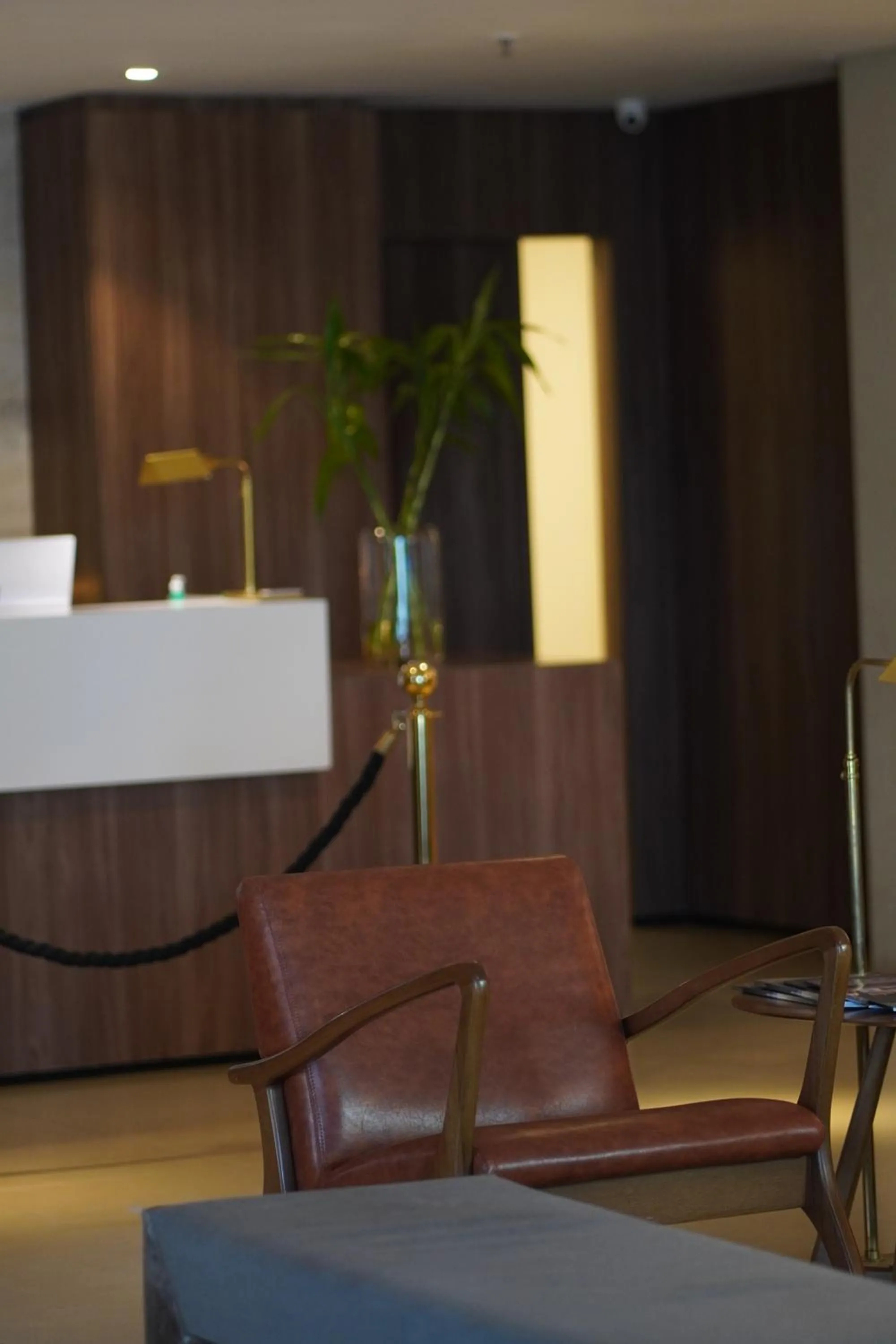 Lobby or reception in Radisson Hotel Anápolis