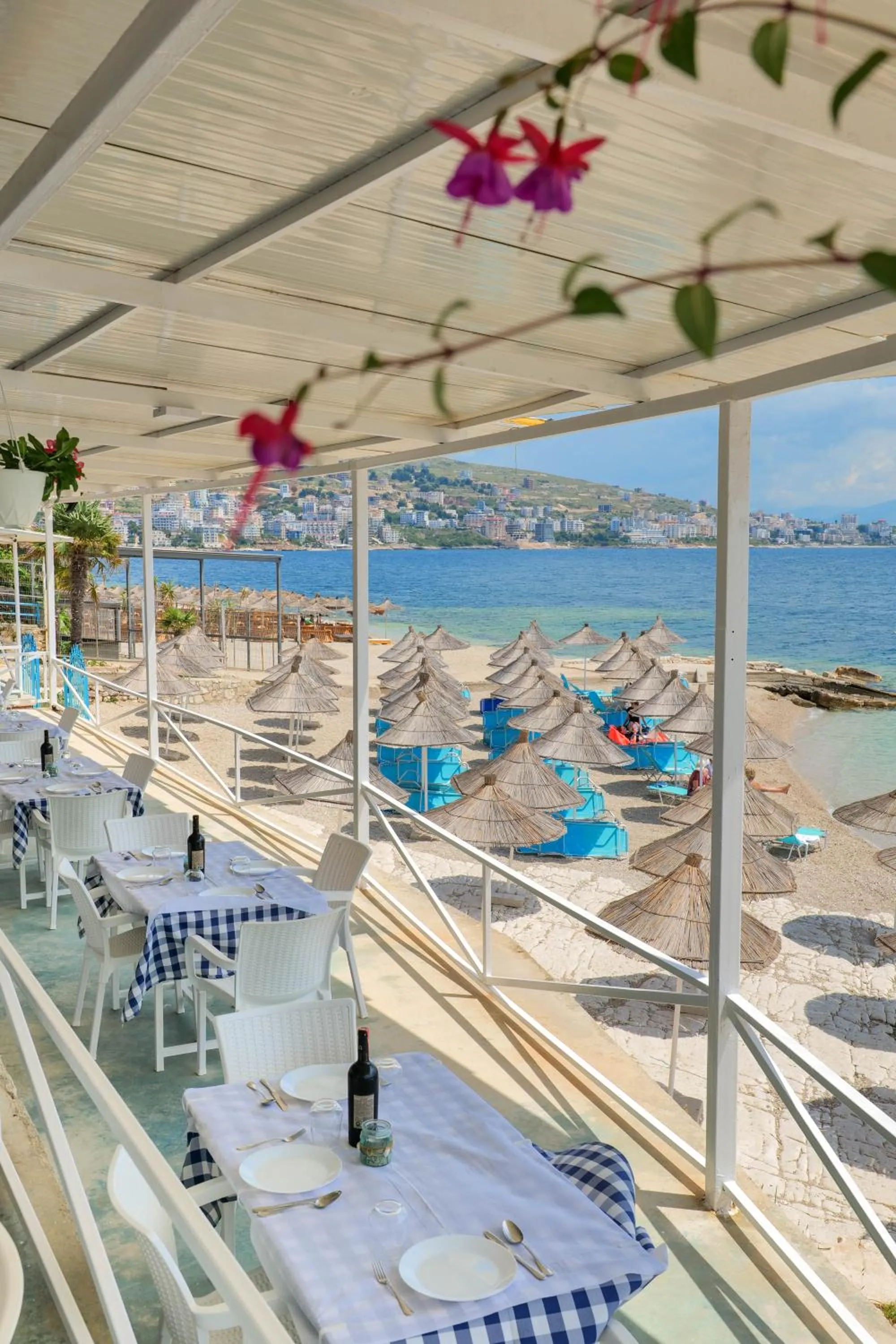 Beach in Oceanic Overview Suites