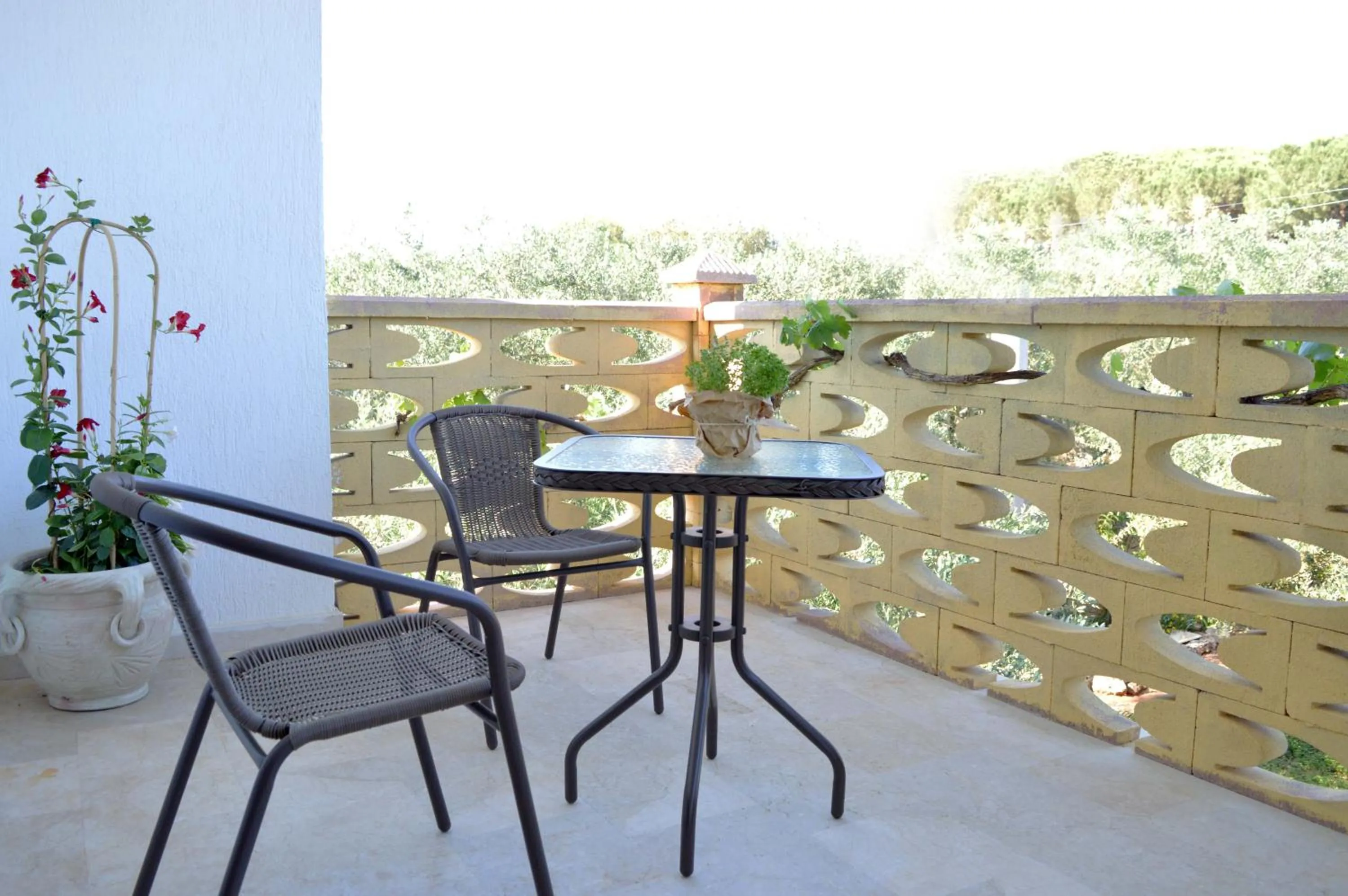 B&B Profumo di Alloro