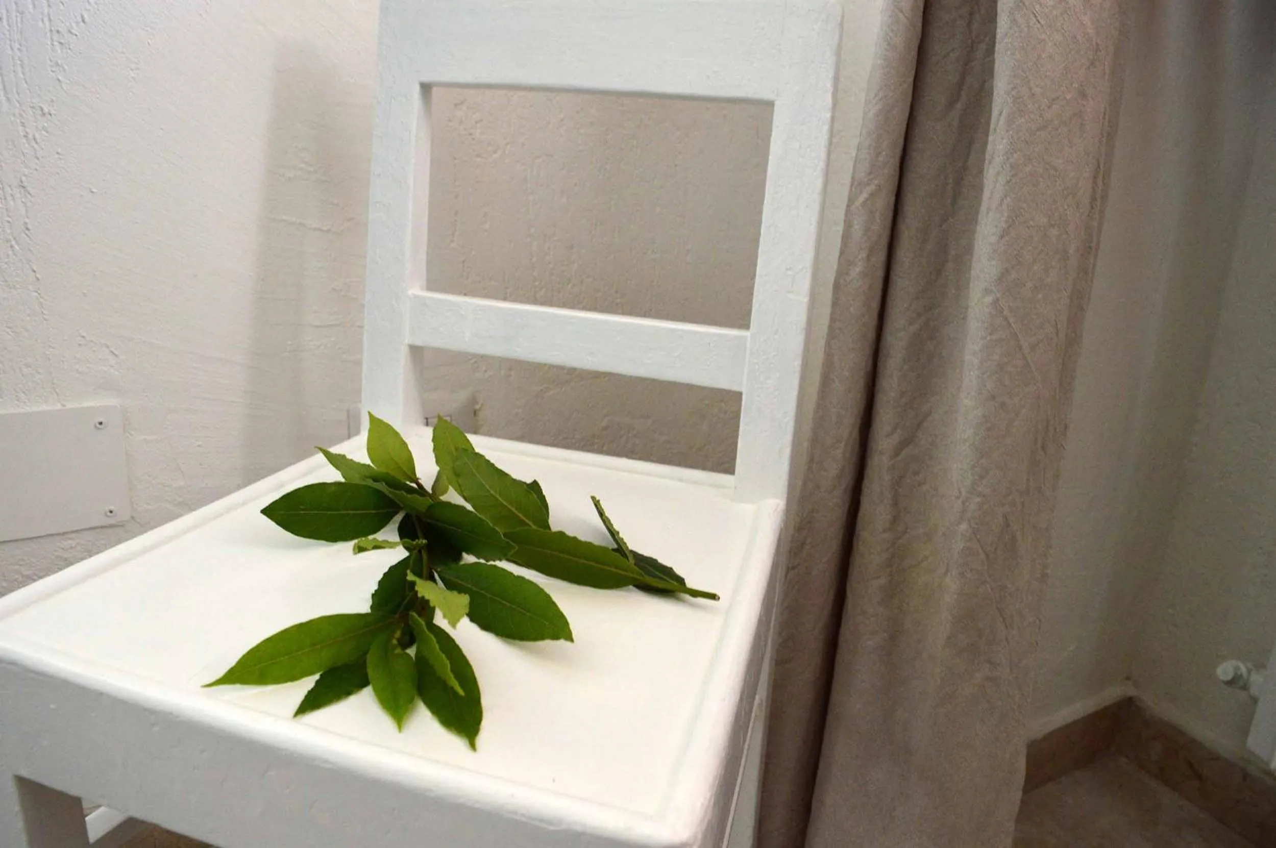 B&B Profumo di Alloro