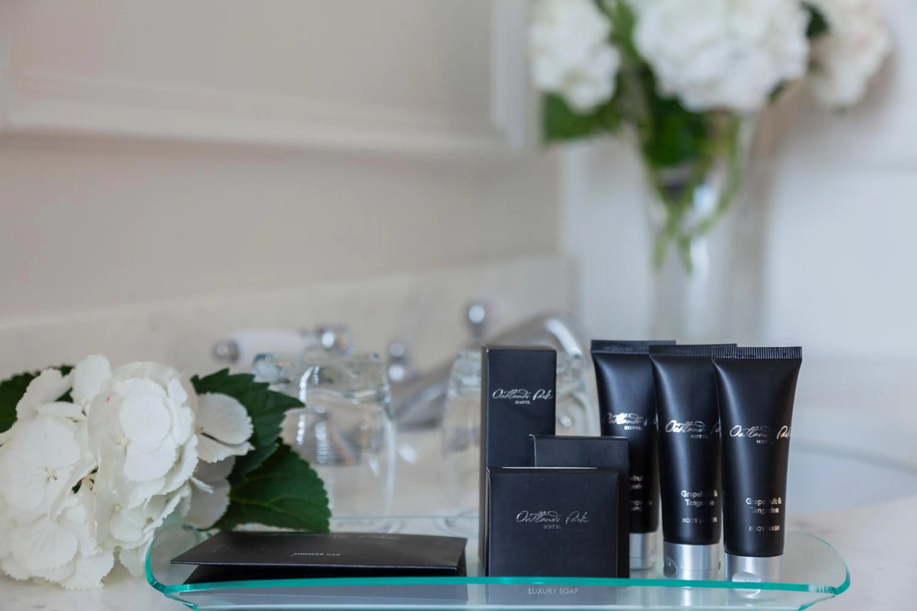 Shower in Oatlands Park Hotel