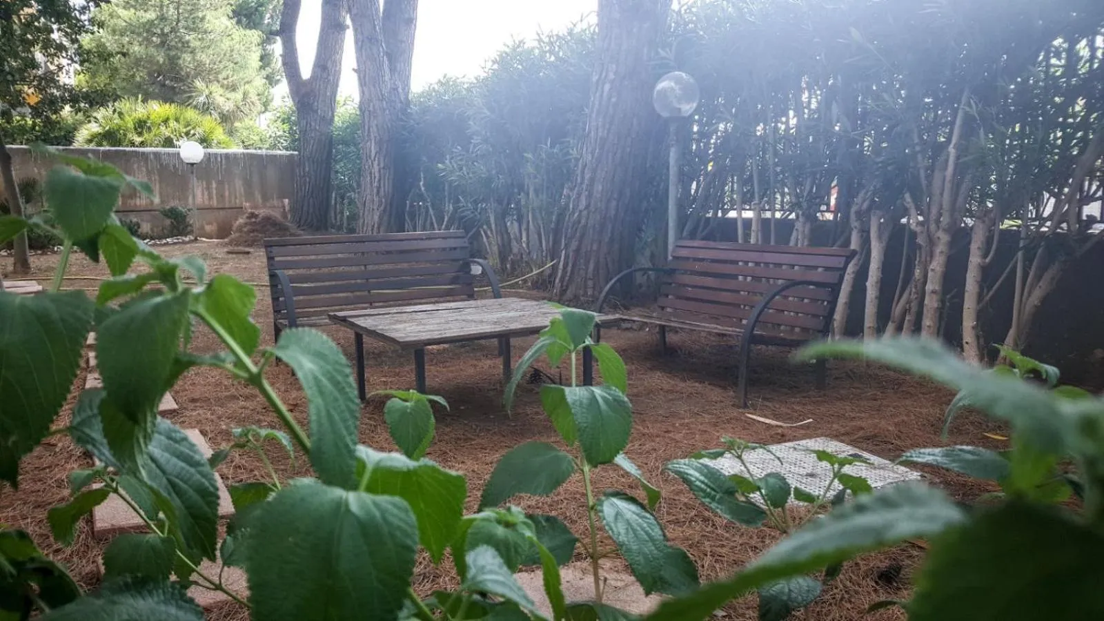 Garden in Max B&B Fiera