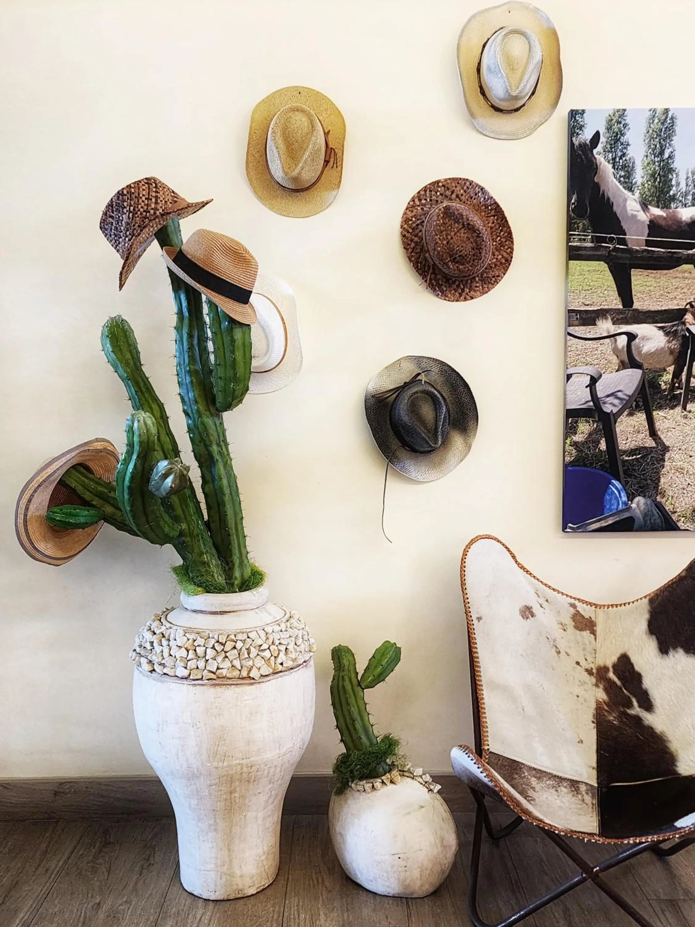 Lobby or reception in Hotel Bellariva