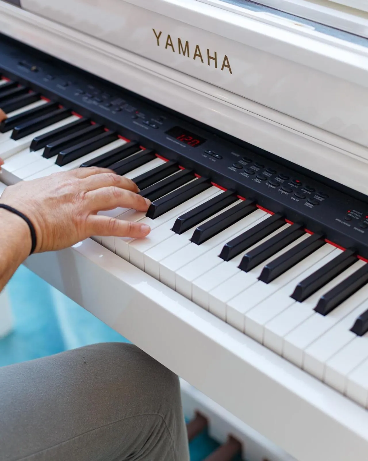 Evening entertainment in Hotel Bellariva