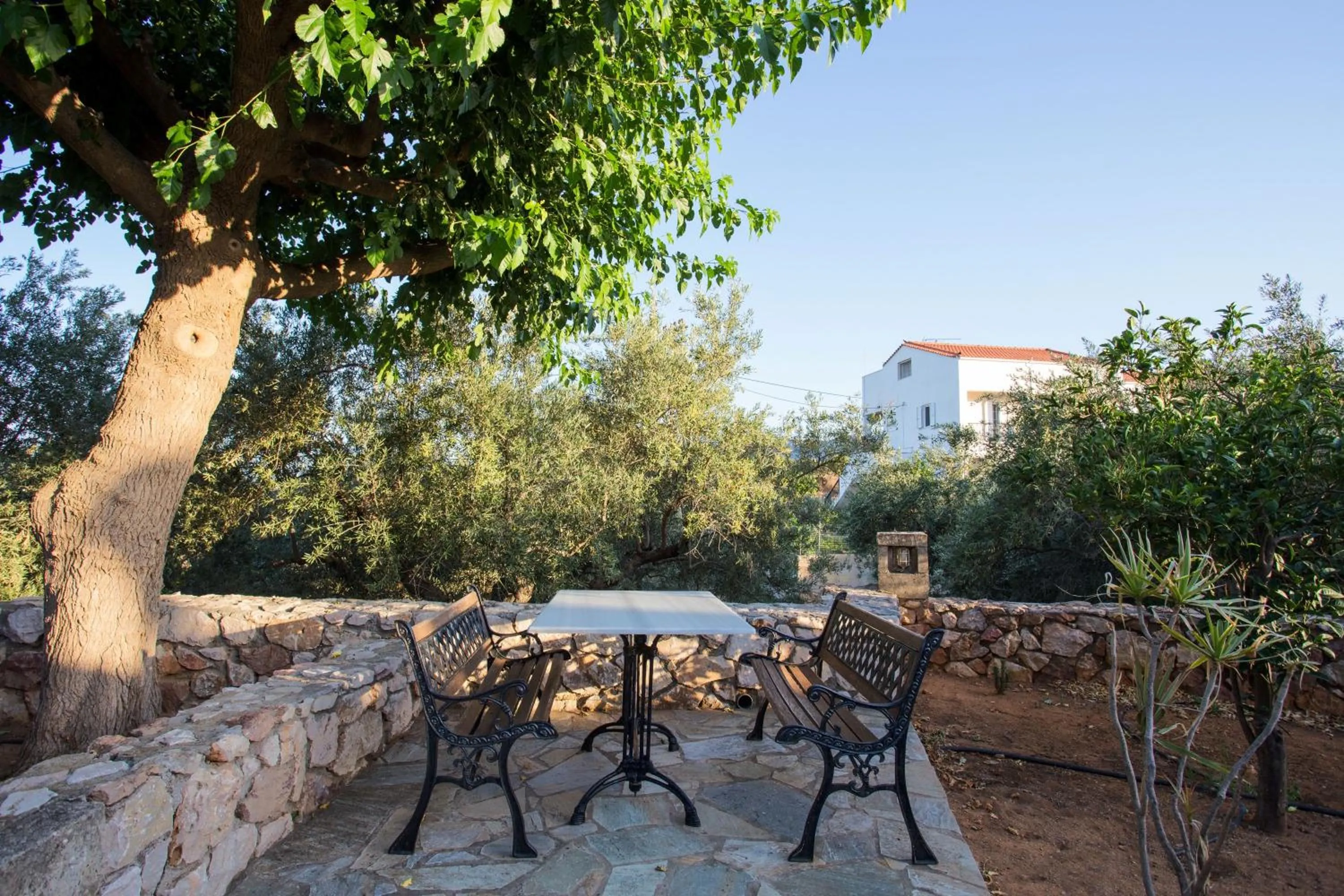 Garden in Georgia's Houses (Melitzanakia)