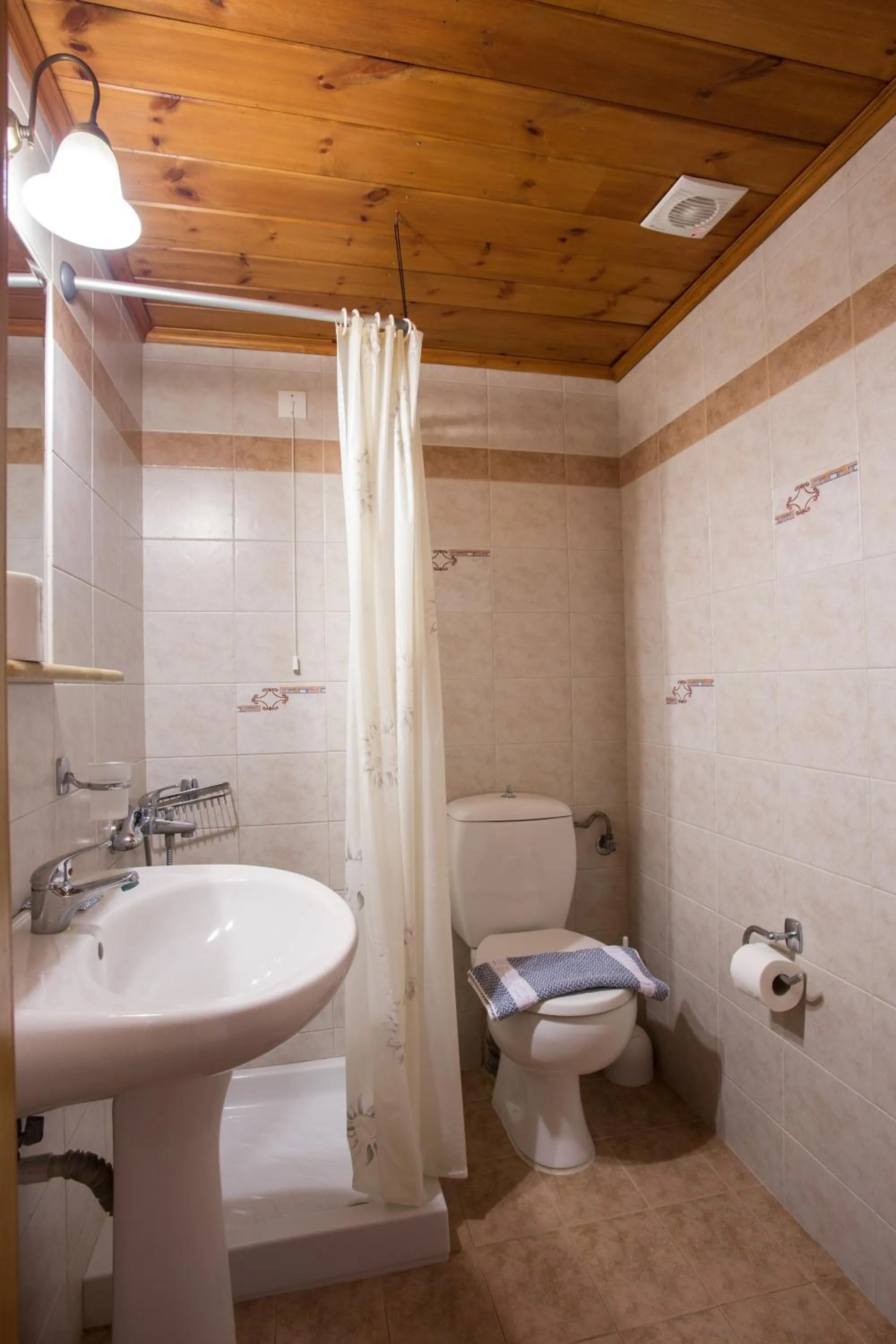 Bathroom in Georgia's Houses (Melitzanakia)