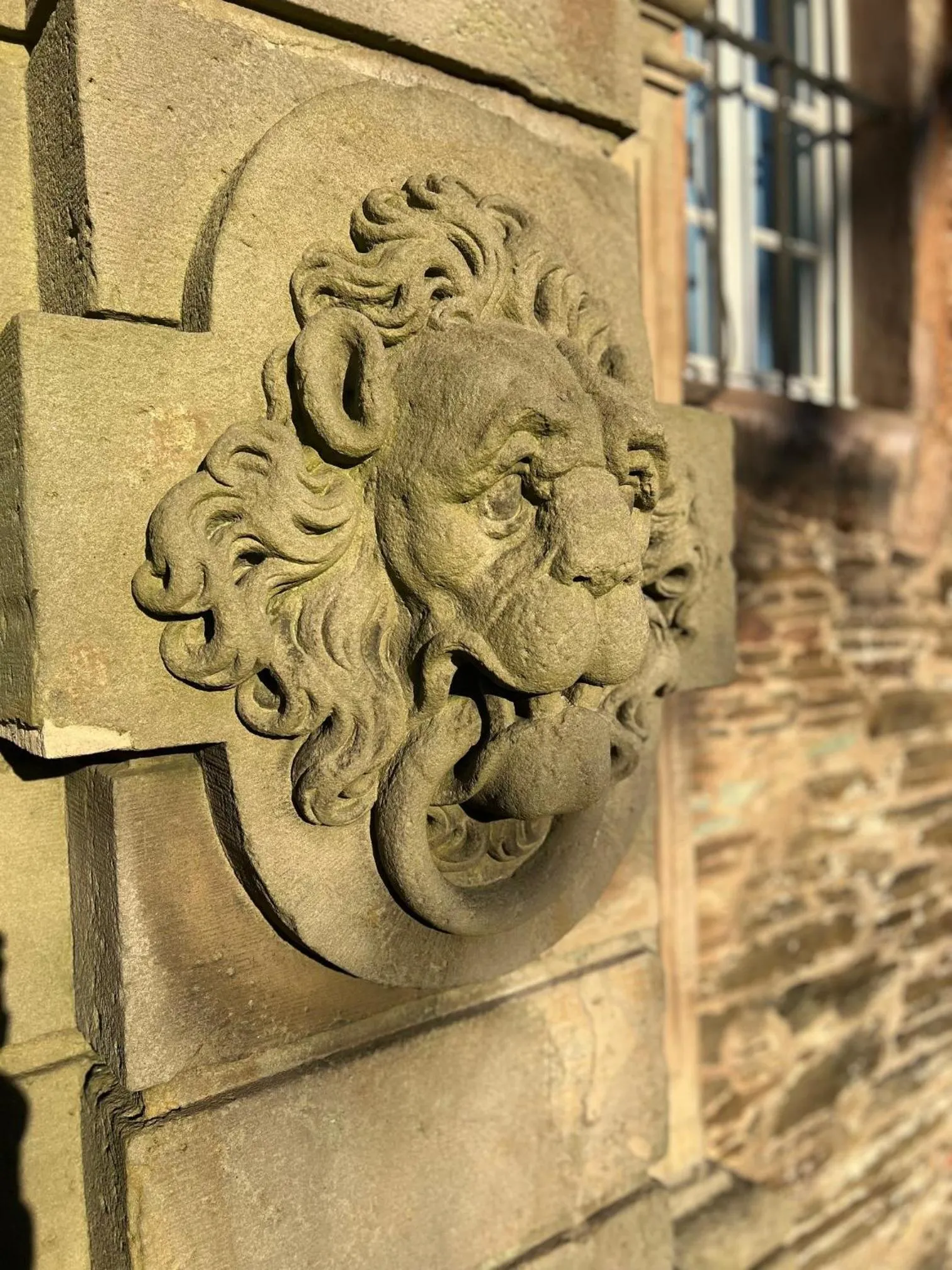 Property building in Hotel und Restaurant Burg Schnellenberg