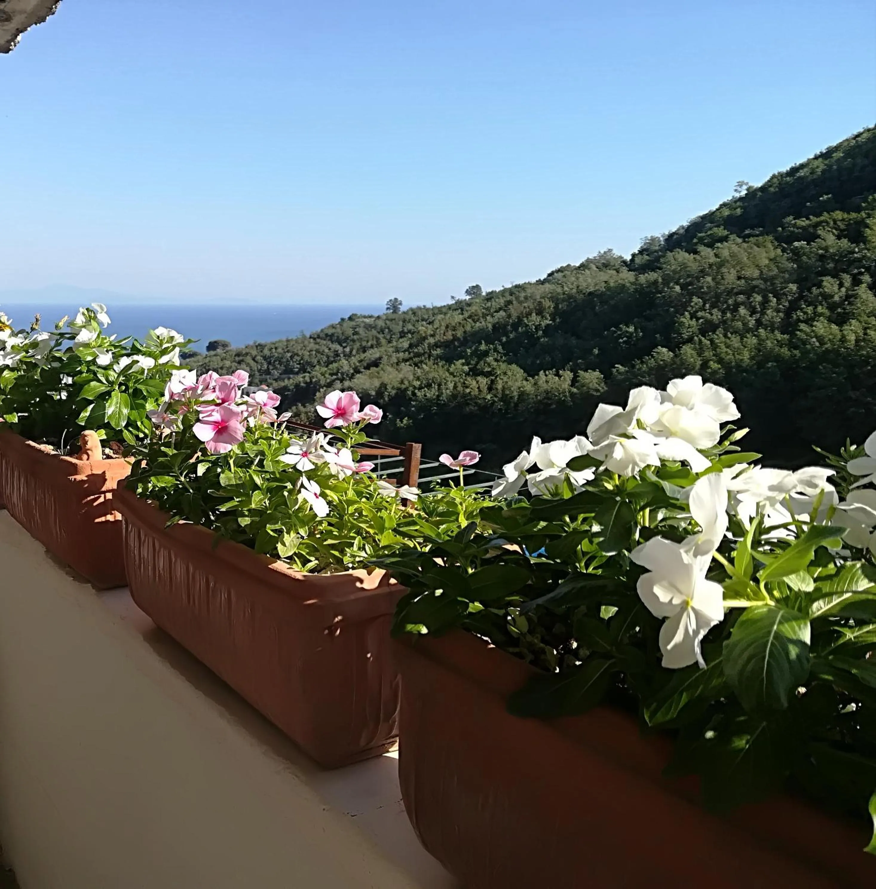 Il Covo delle Civette