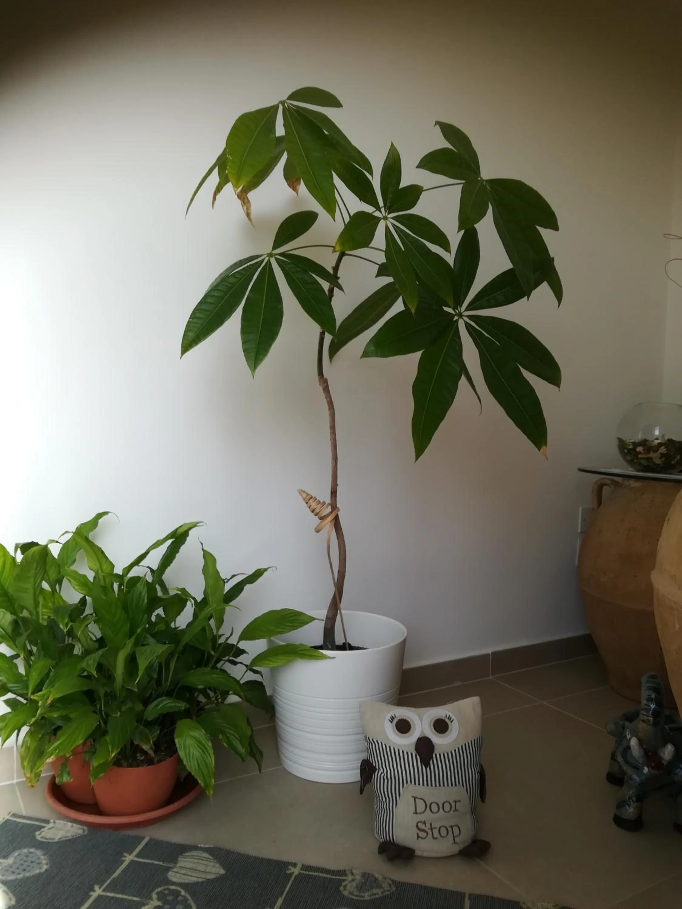 Il Covo delle Civette