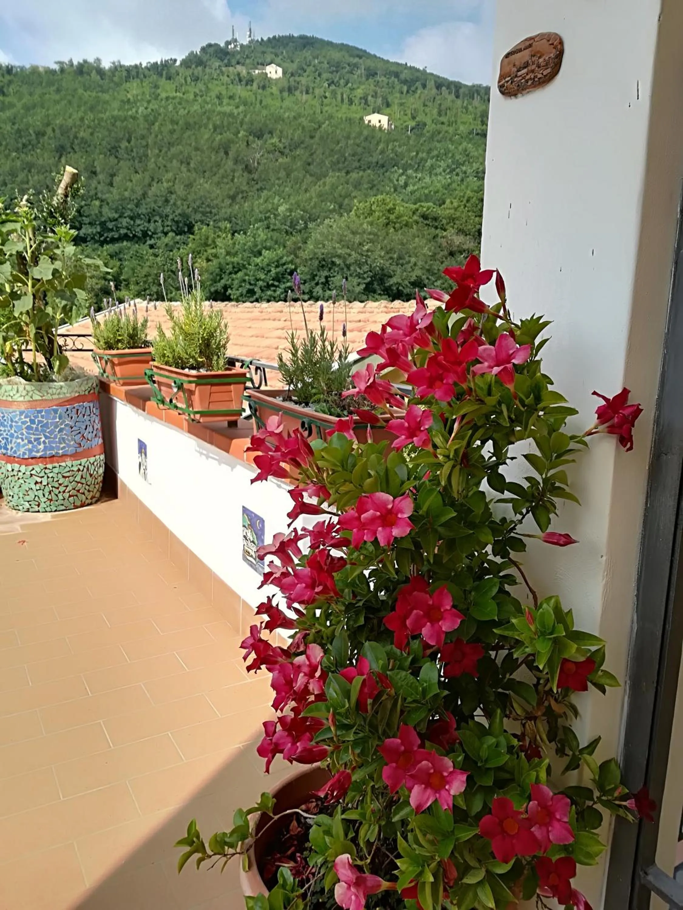 Il Covo delle Civette