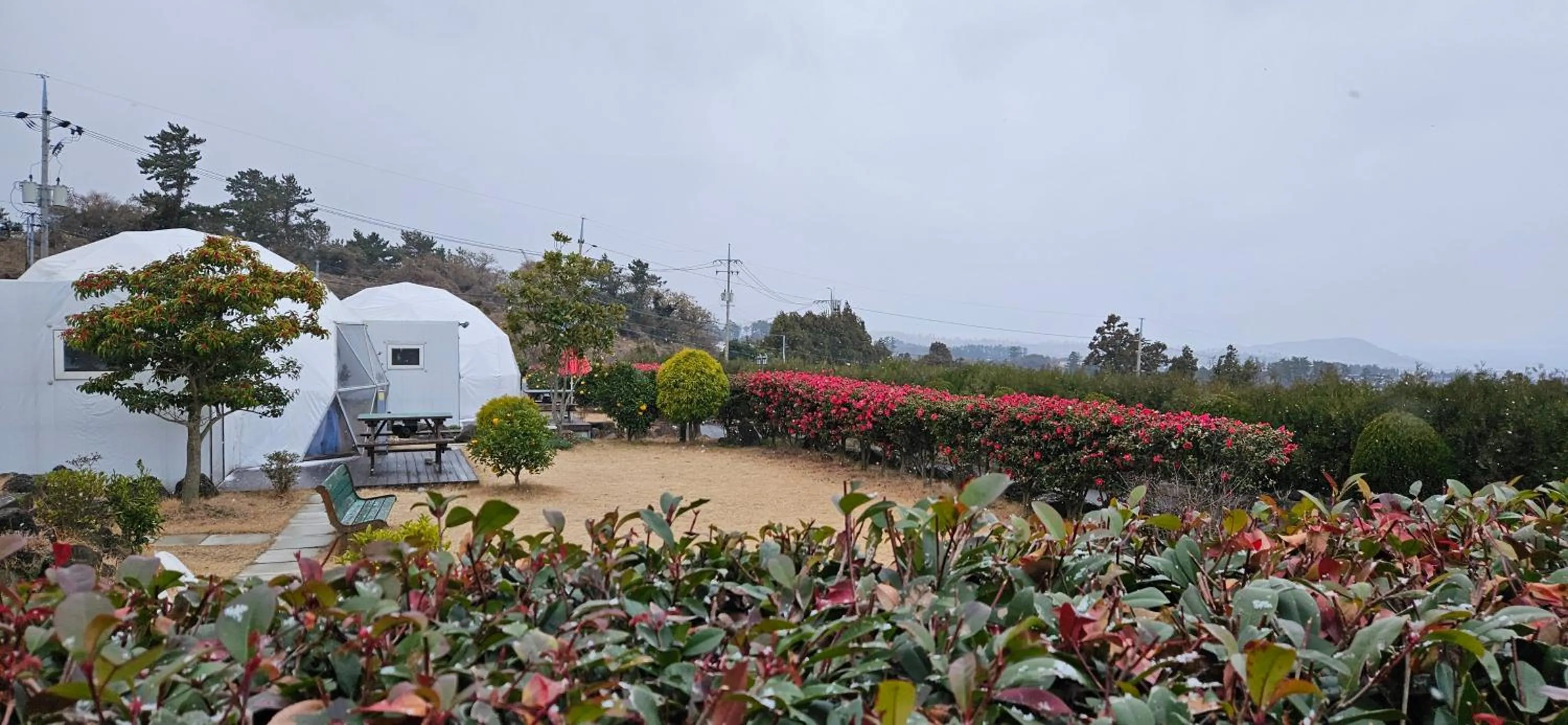 Jeju Starlight Glamping