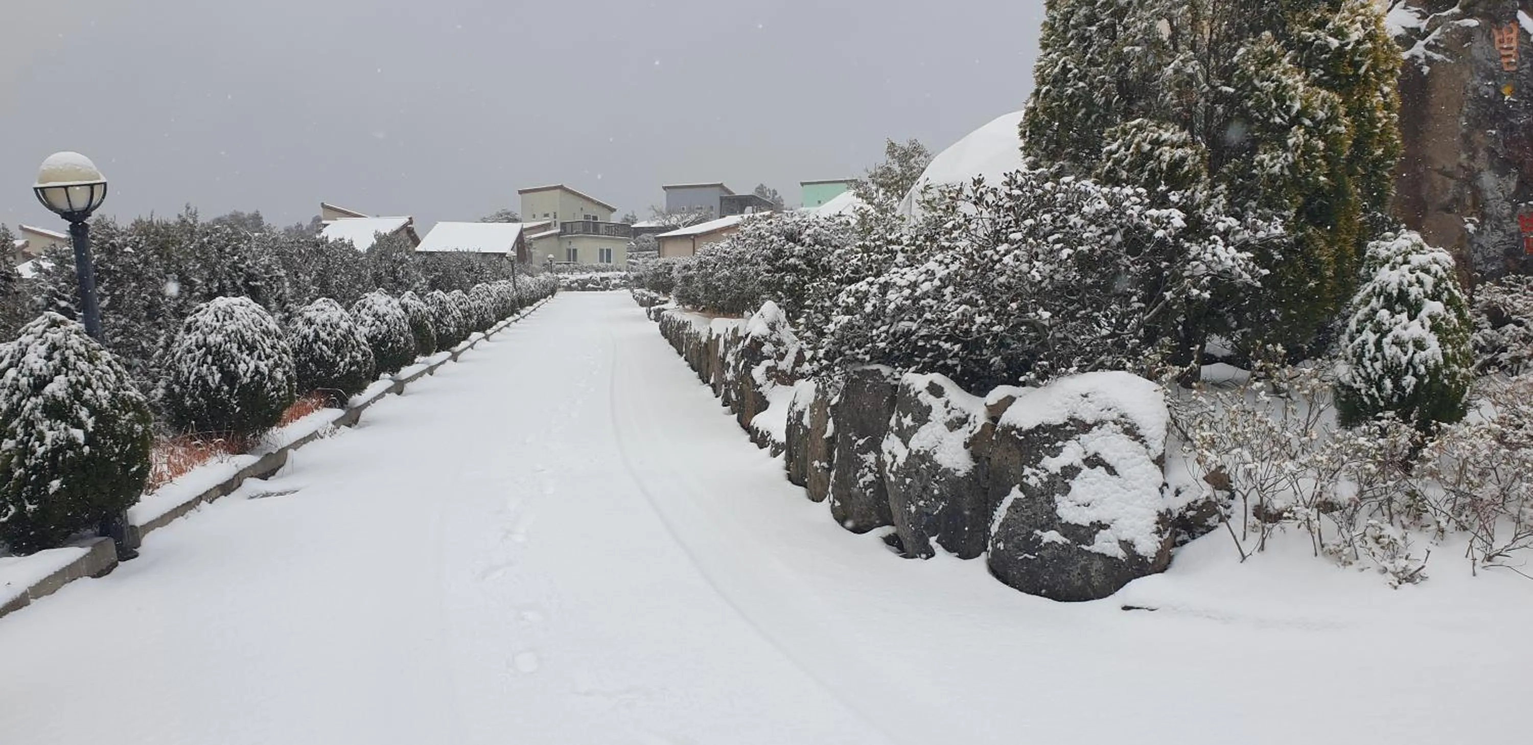 Jeju Starlight Glamping