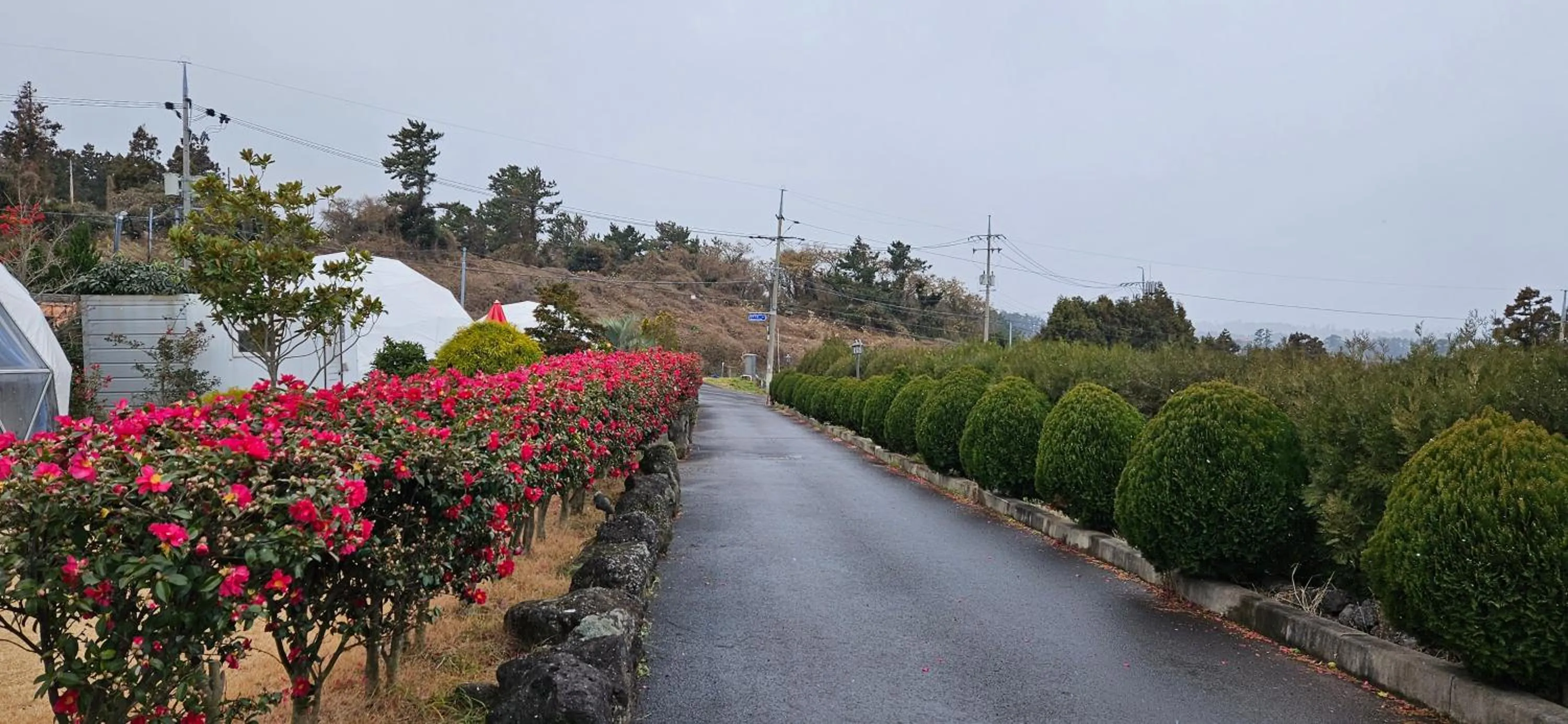Jeju Starlight Glamping