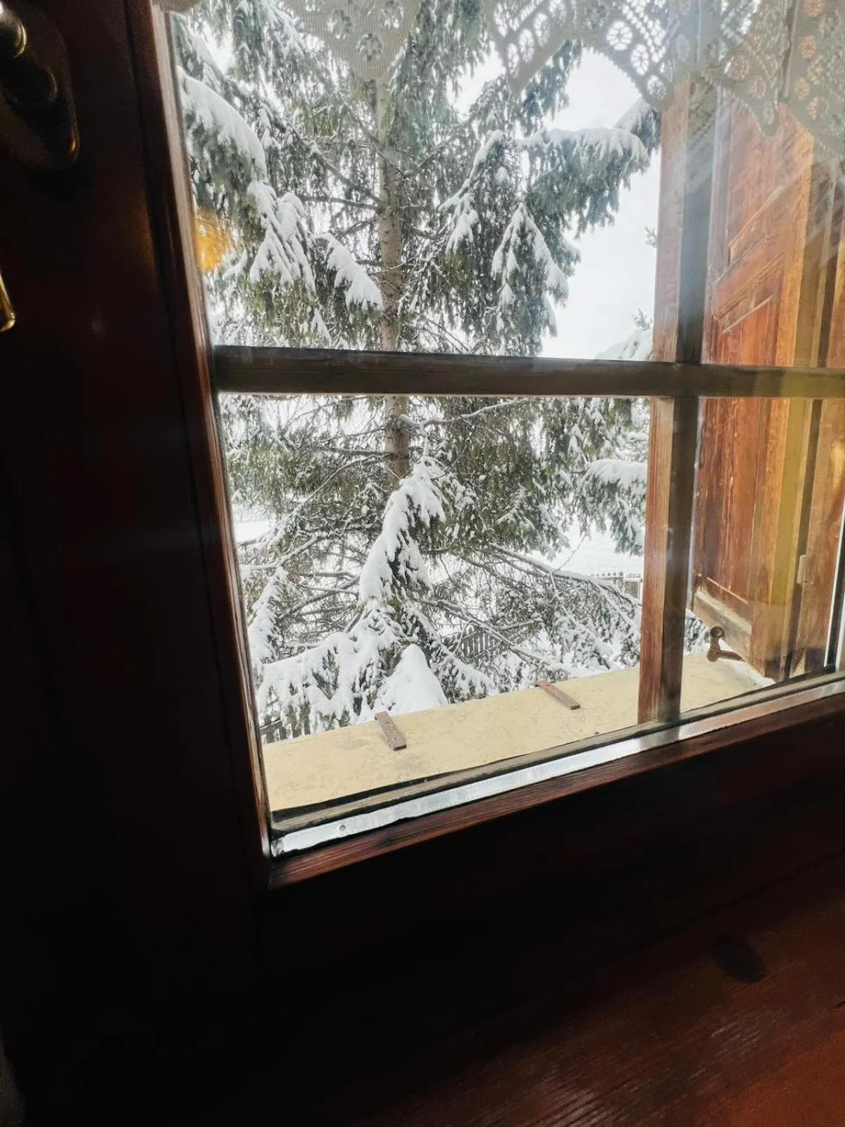 View (from property/room) in Chalet Del Sole per gruppi