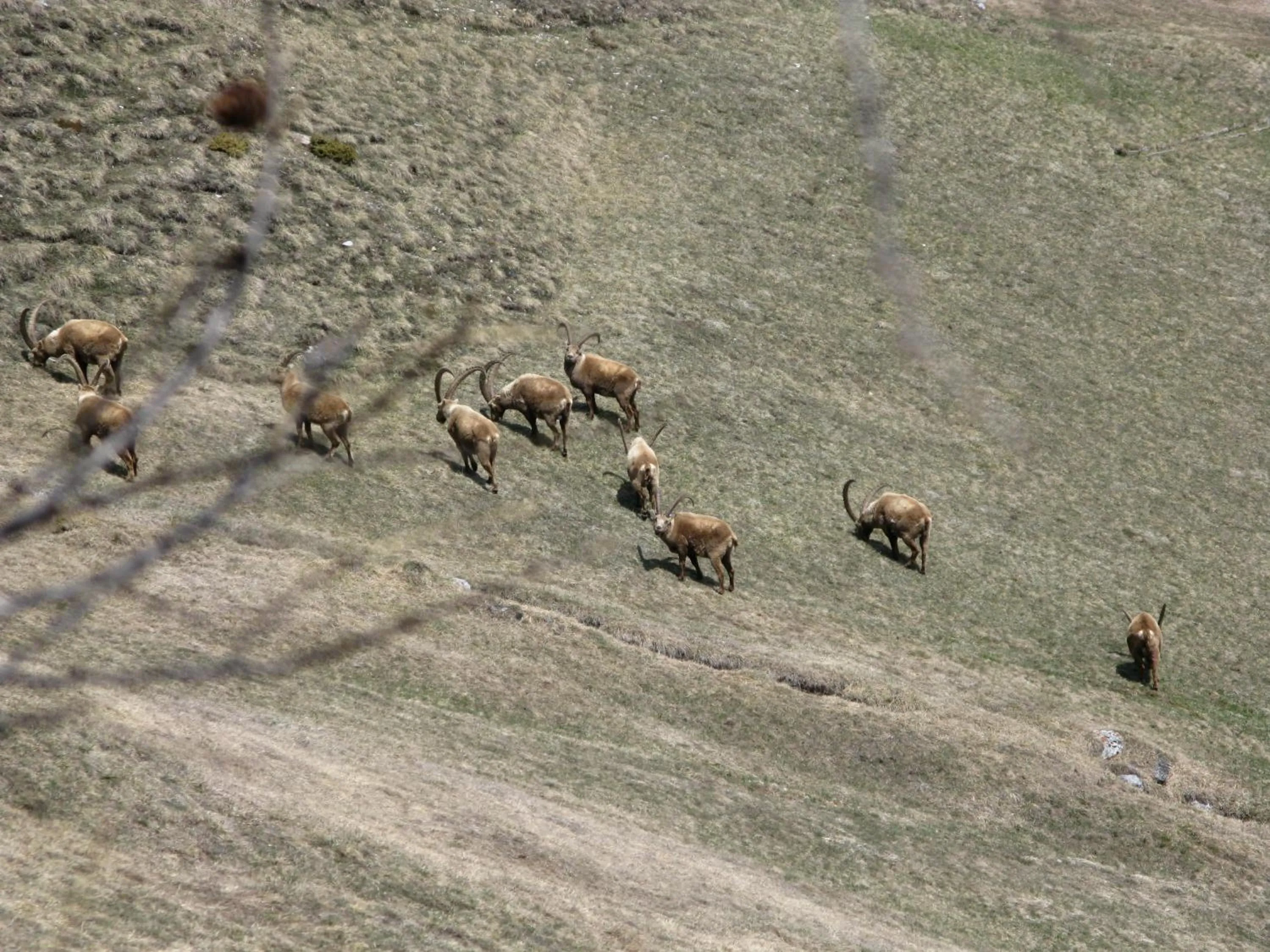 Day in Chalet Del Sole per gruppi