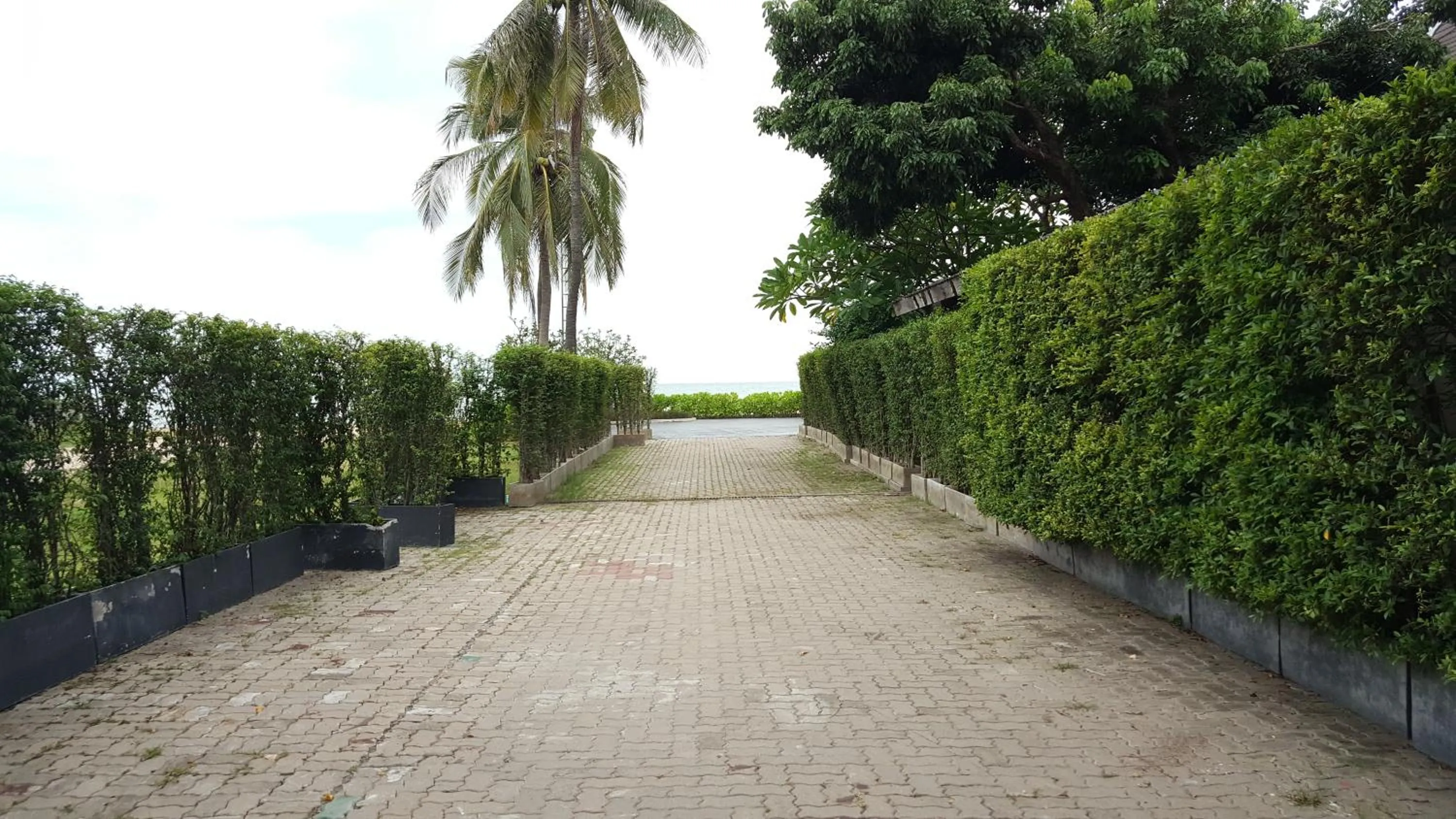 Natural landscape in Rain Cha-am by Obbset