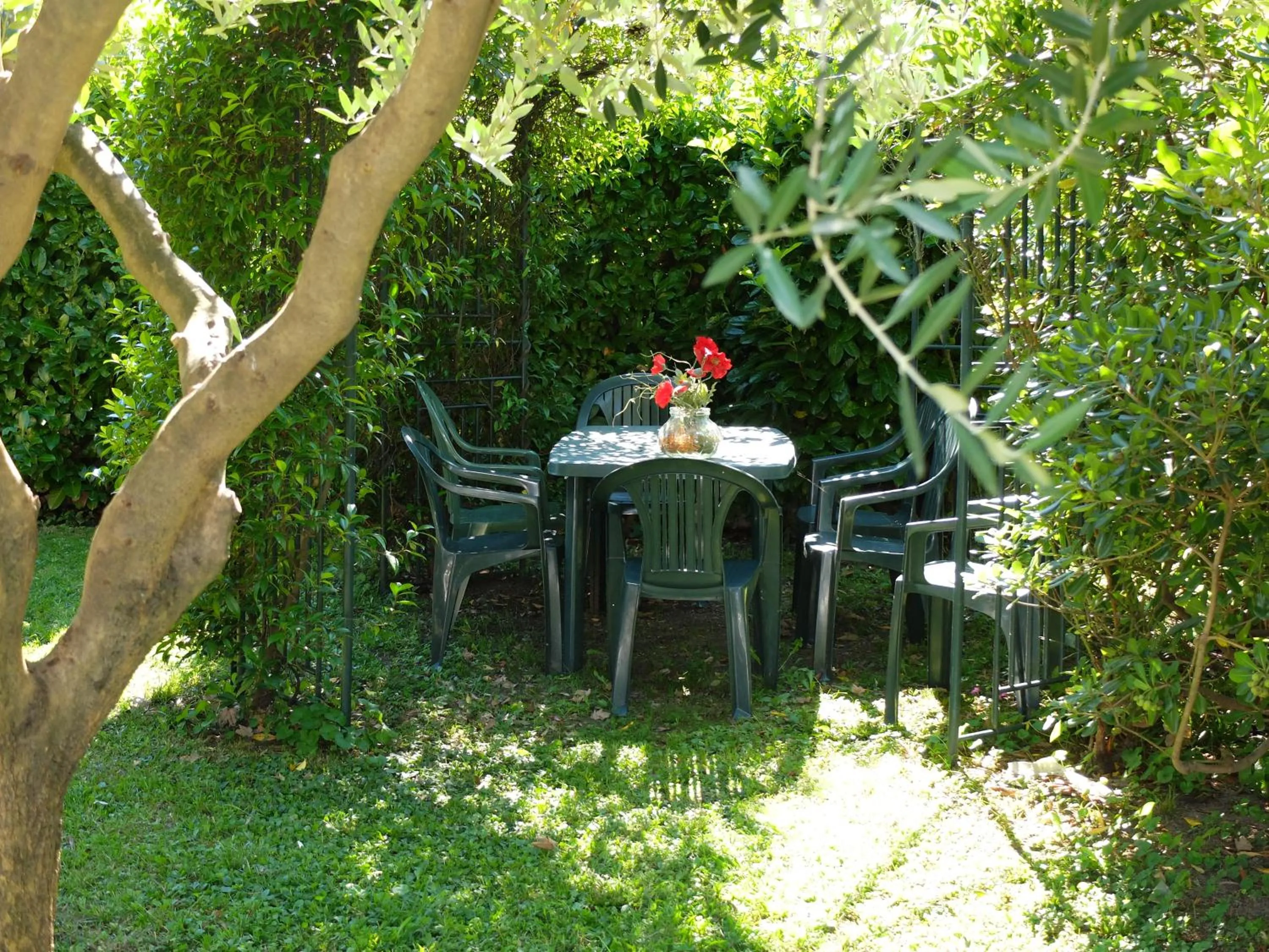 Garden in Residence Geranio