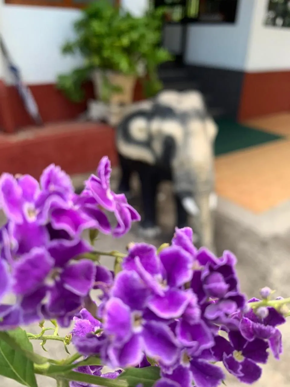 Lake Side Tourist Inn