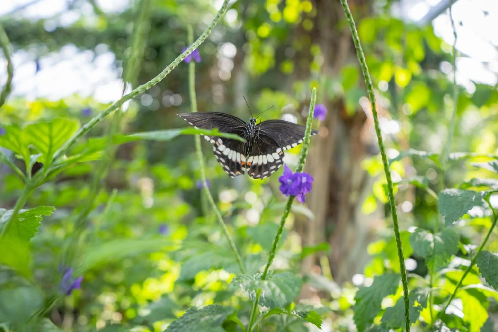 Nearby landmark in Holiday Inn Express & Suites Kitchener Southeast by IHG