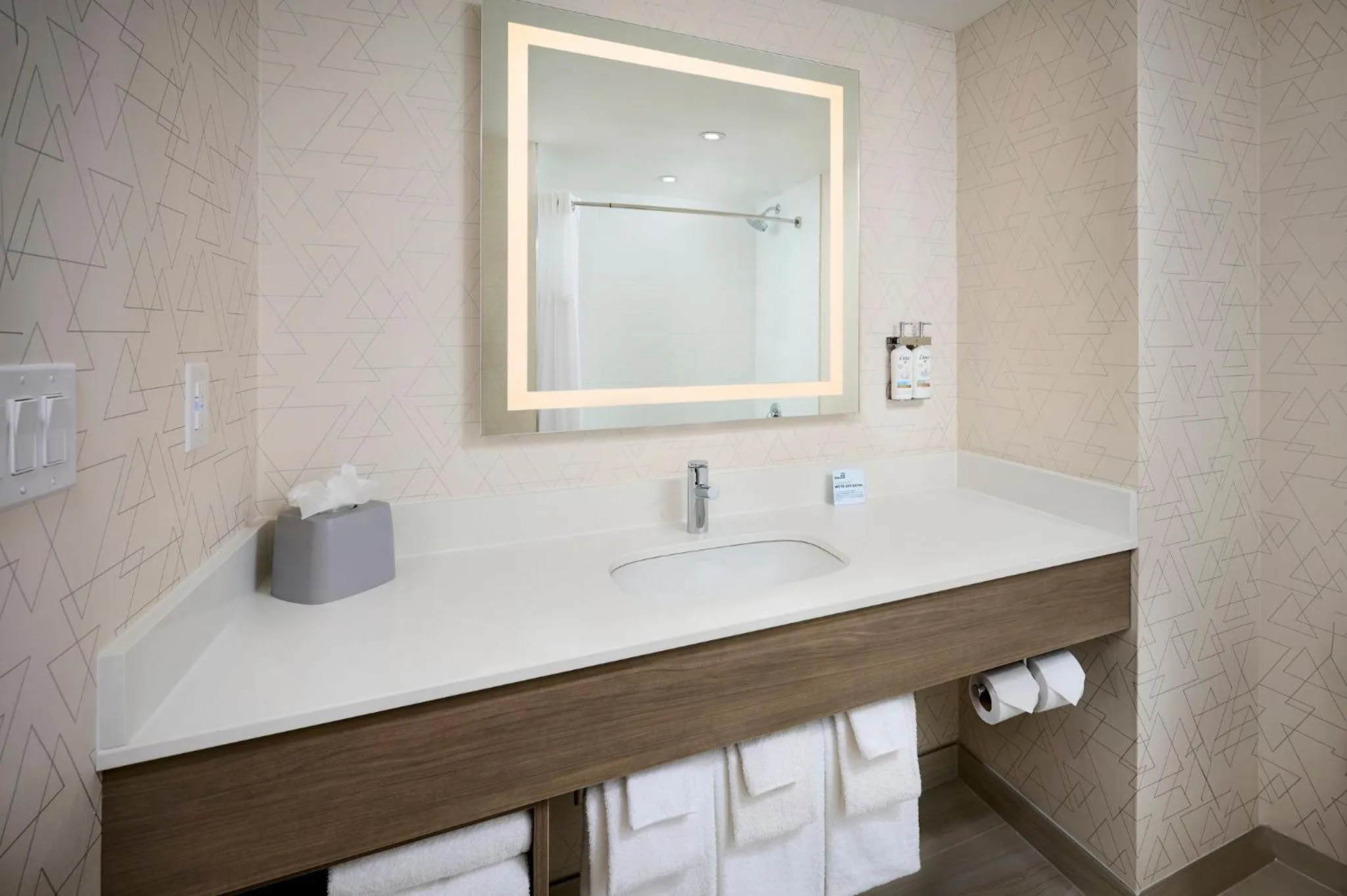 Bathroom in Holiday Inn Express & Suites Kitchener Southeast by IHG