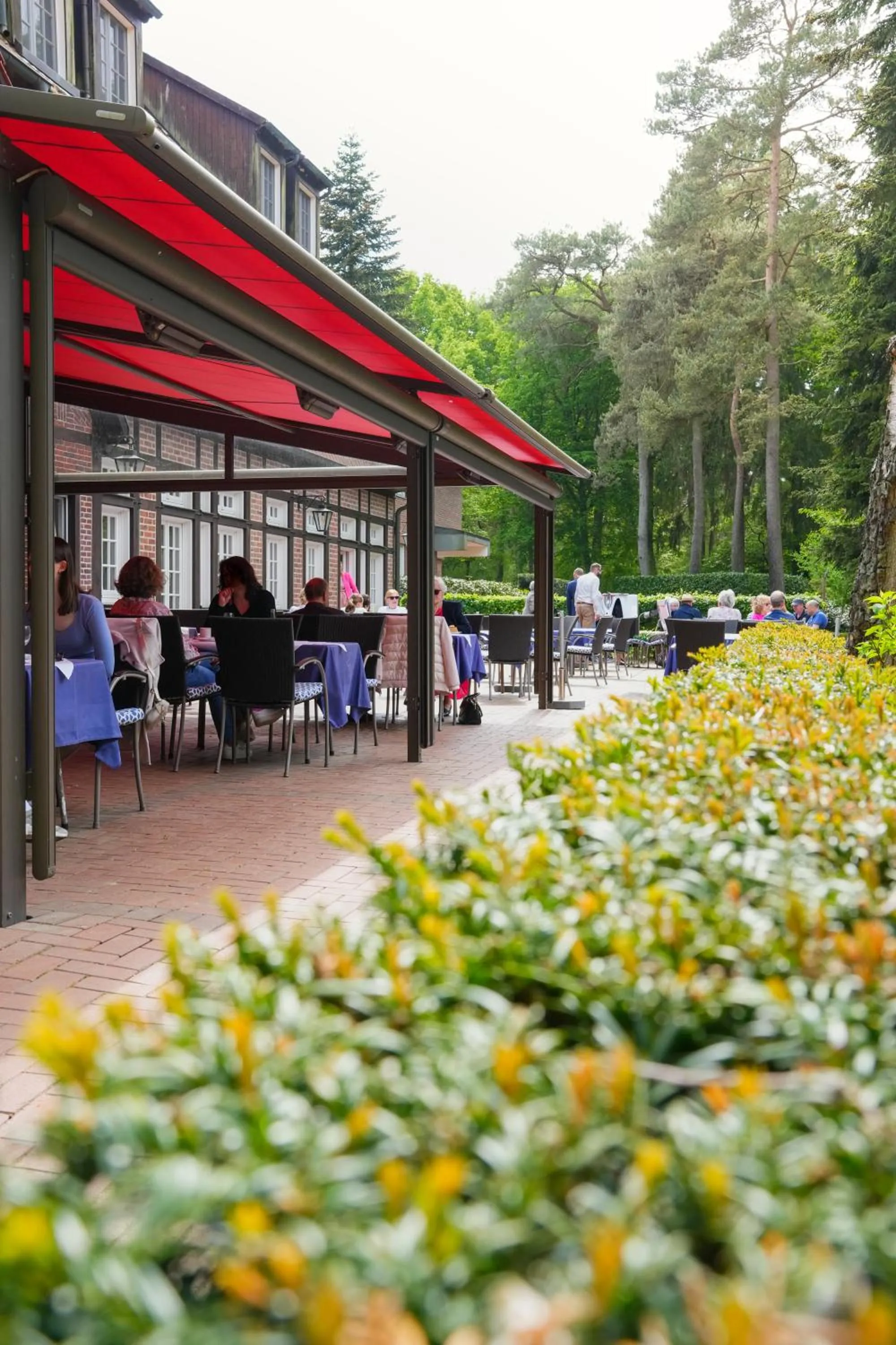 Restaurant/places to eat in Heidehotel Waldhütte