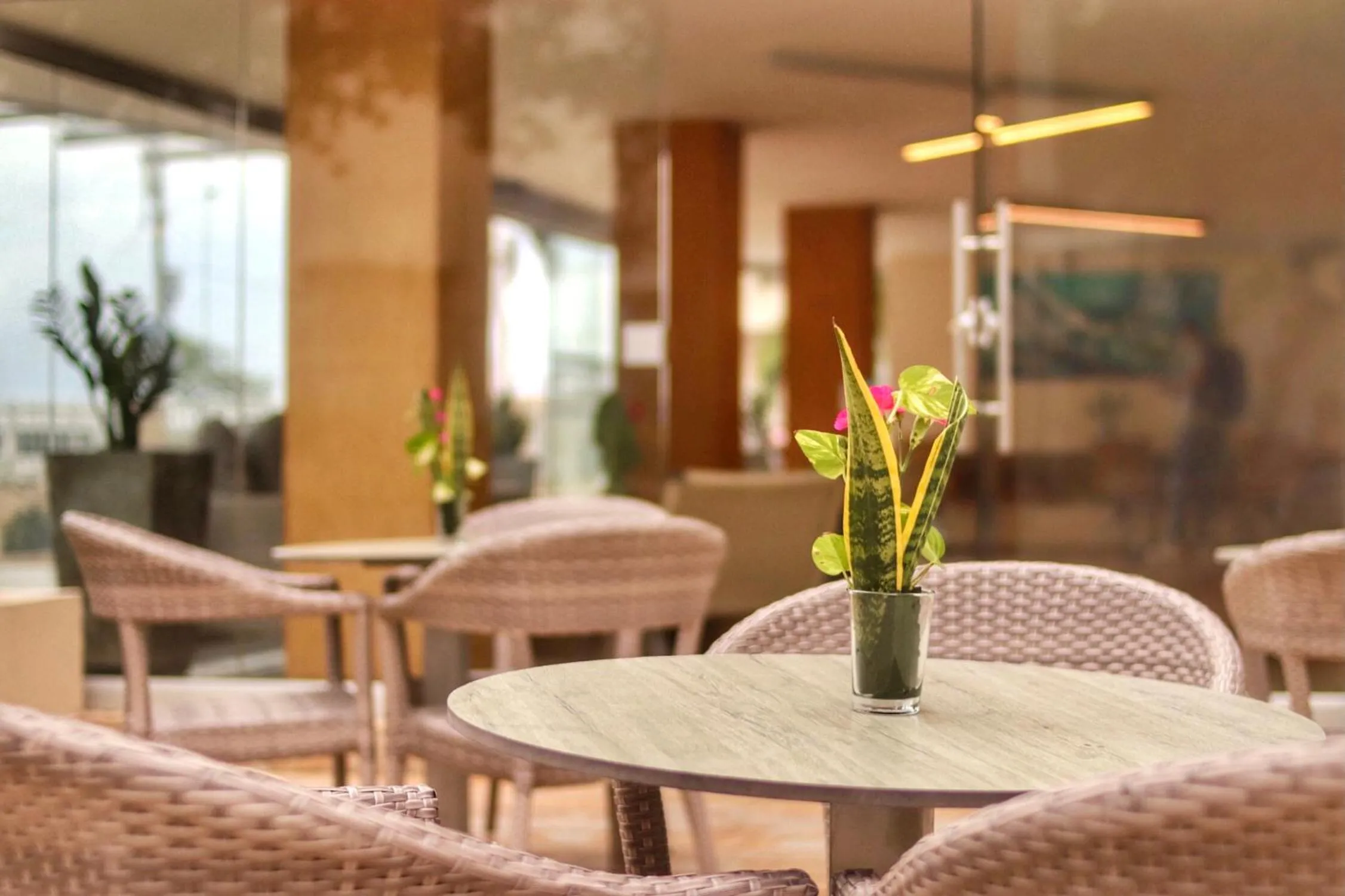 Balcony/Terrace in Hotel Oceania Cartagena