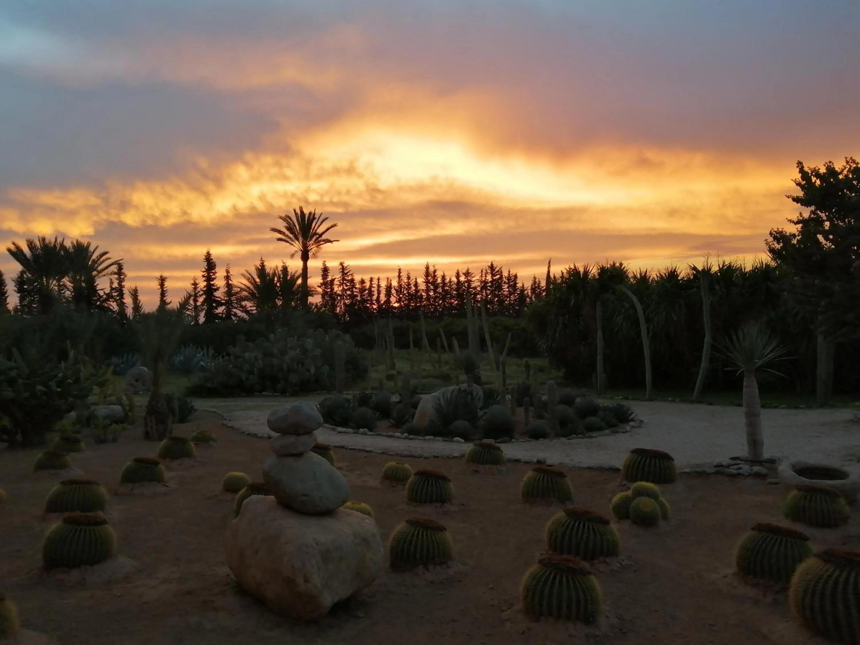 Natural landscape in Palais Claudio Bravo