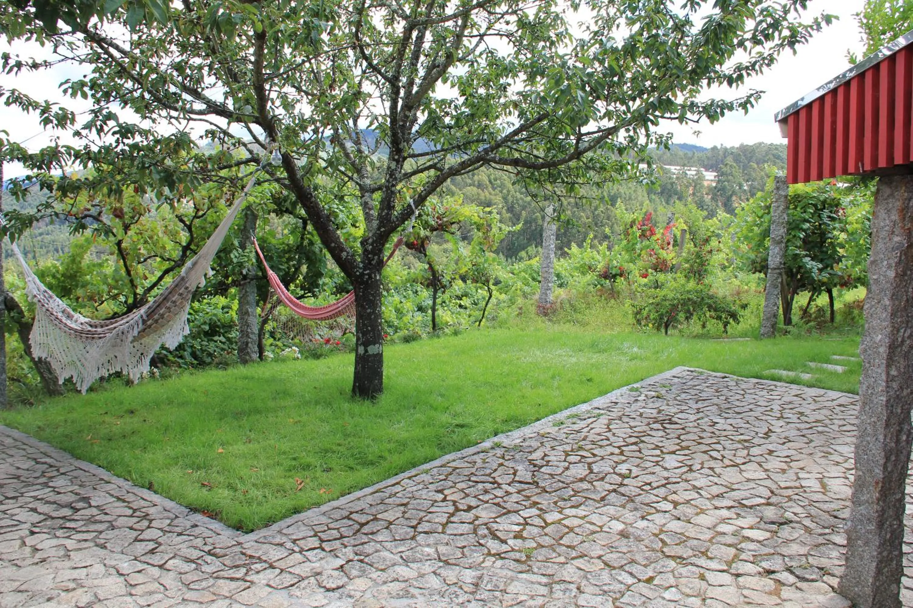 Garden in Casa da Bichaca