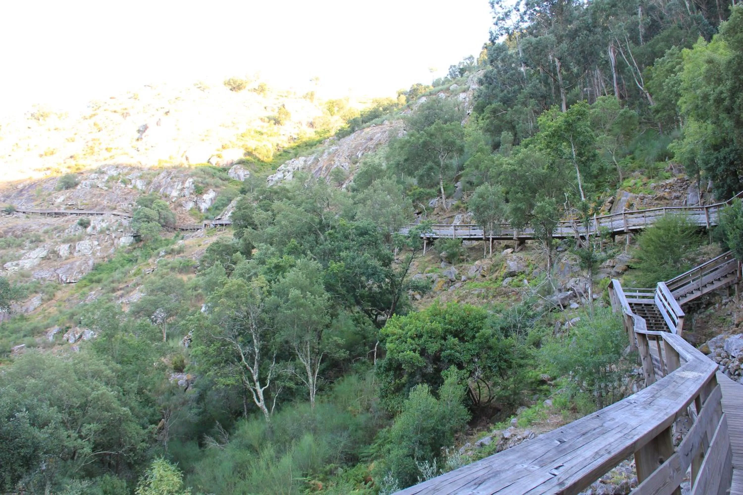 Natural landscape in Casa da Bichaca