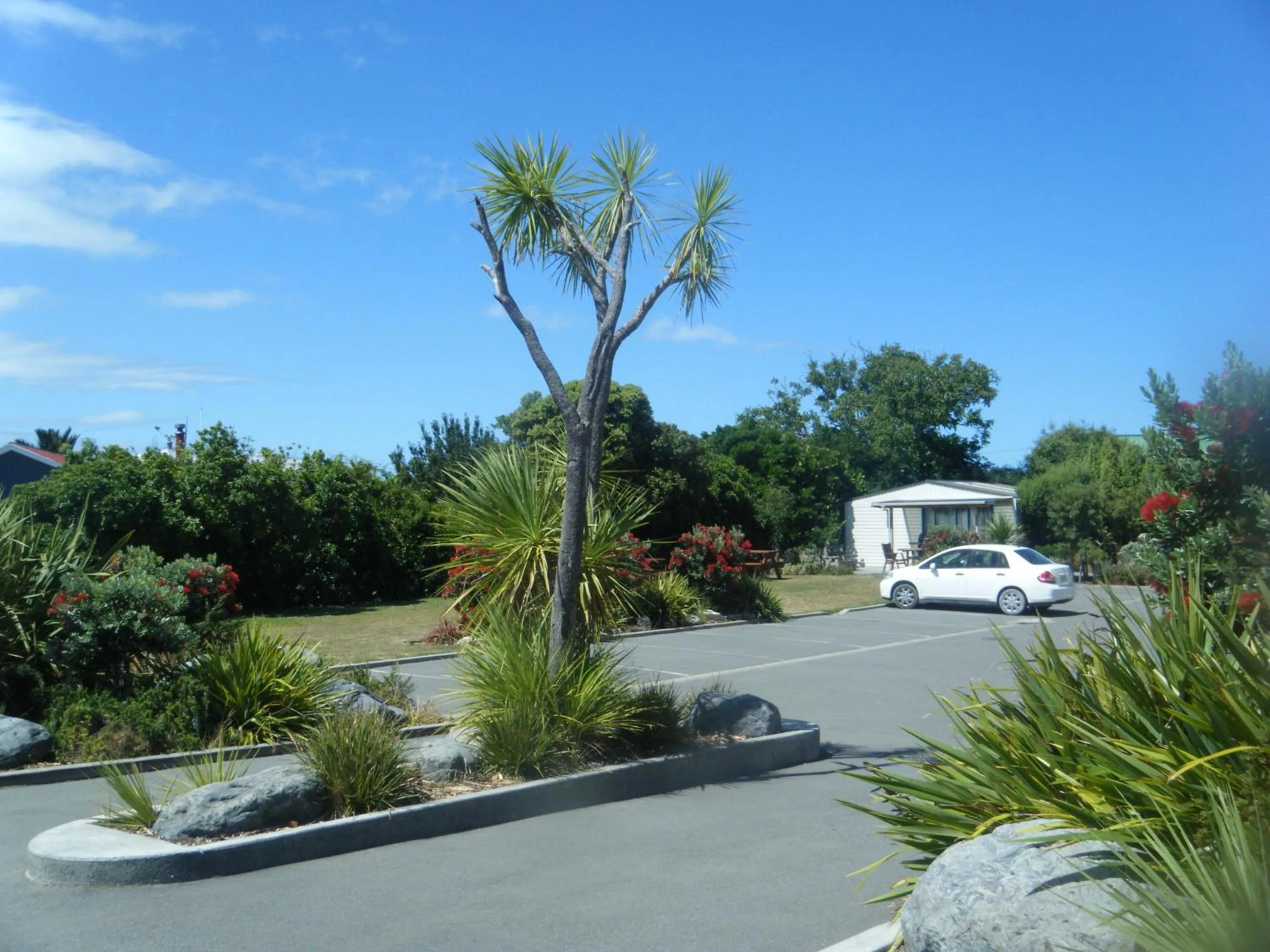 Other in Bella Vista Motel Kaikoura