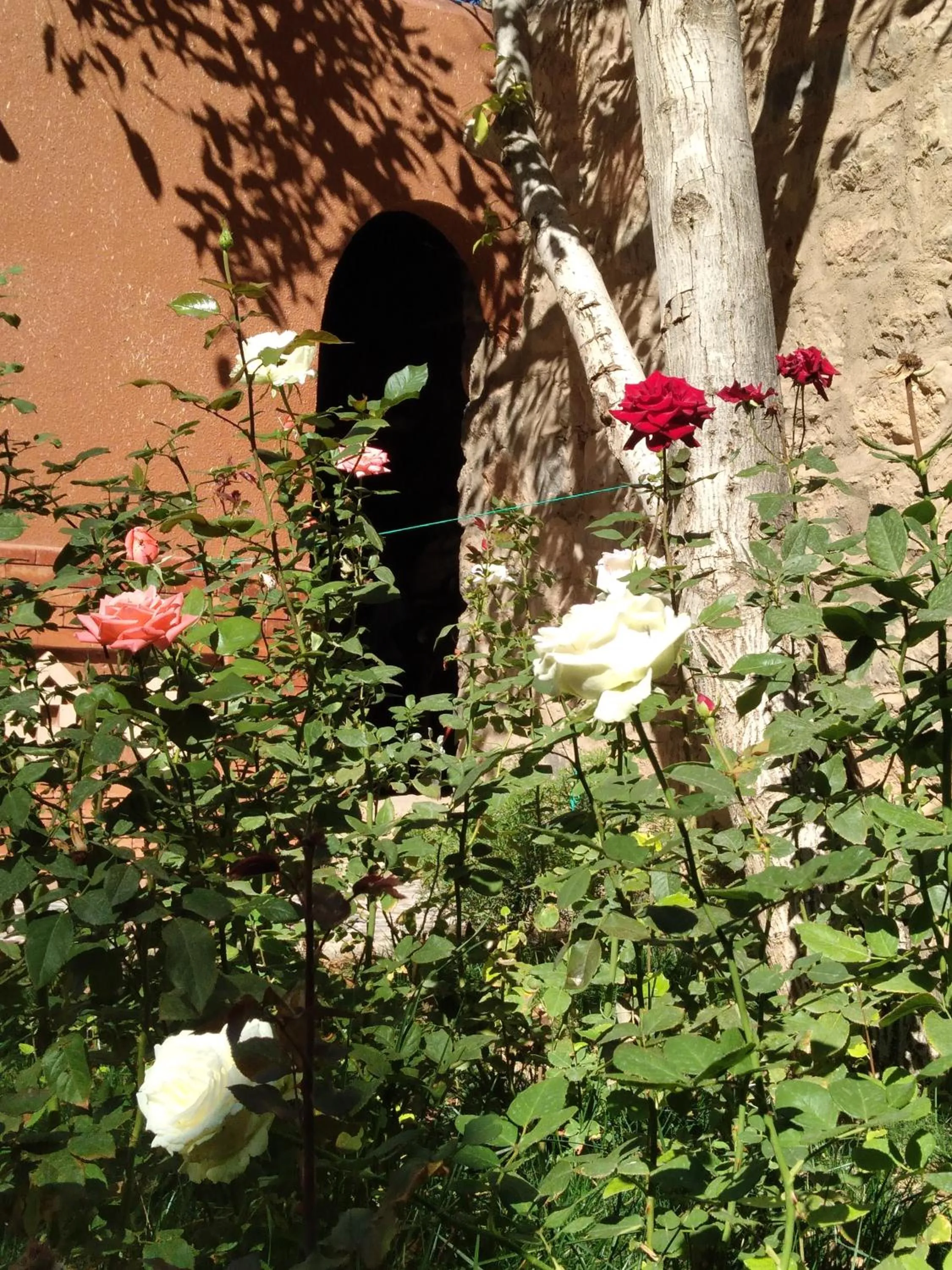 Garden in Berbère de la Montagne HoteL