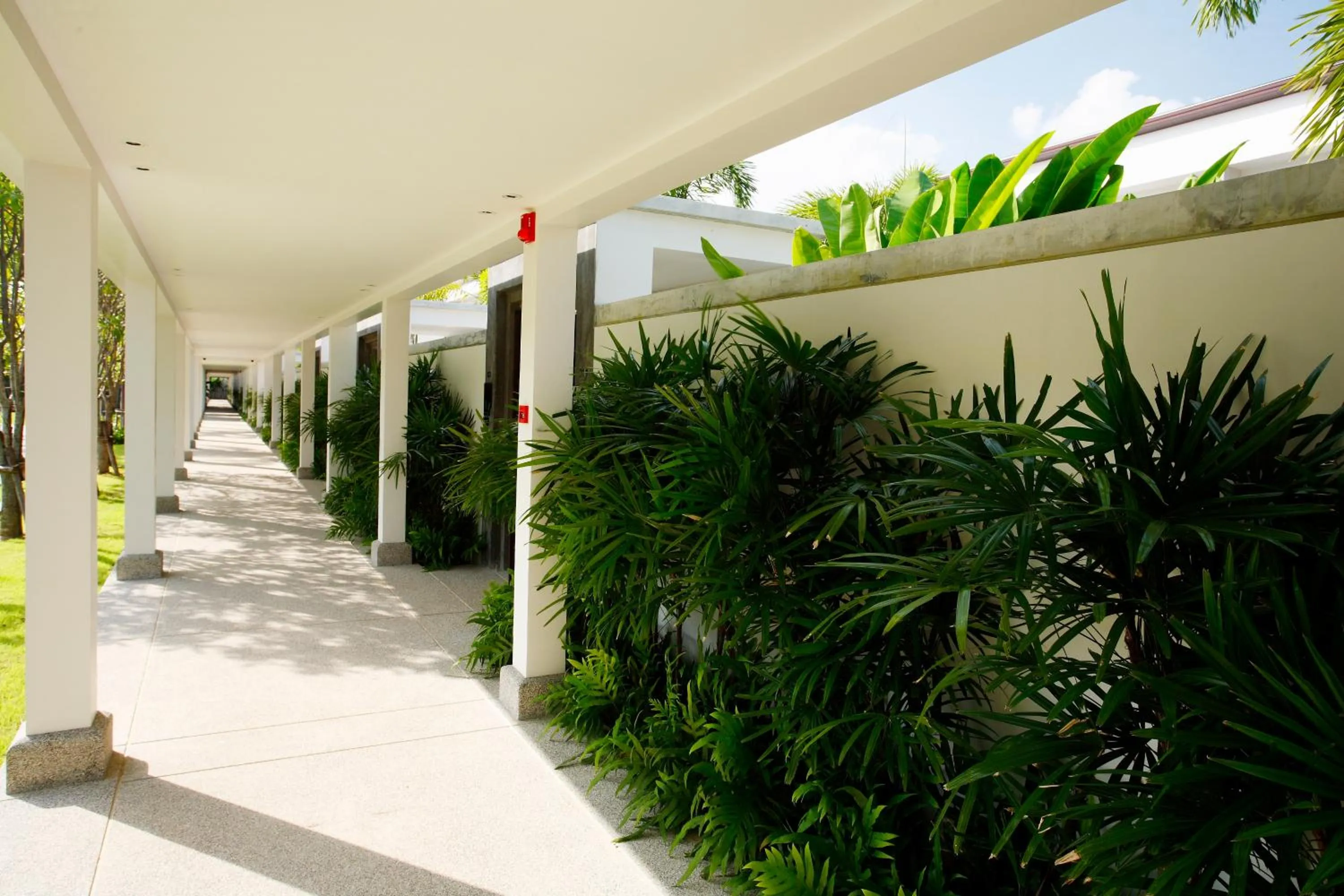 Garden in Two Villas HOLIDAY - Oxygen Style Bangtao Beach, Phuket