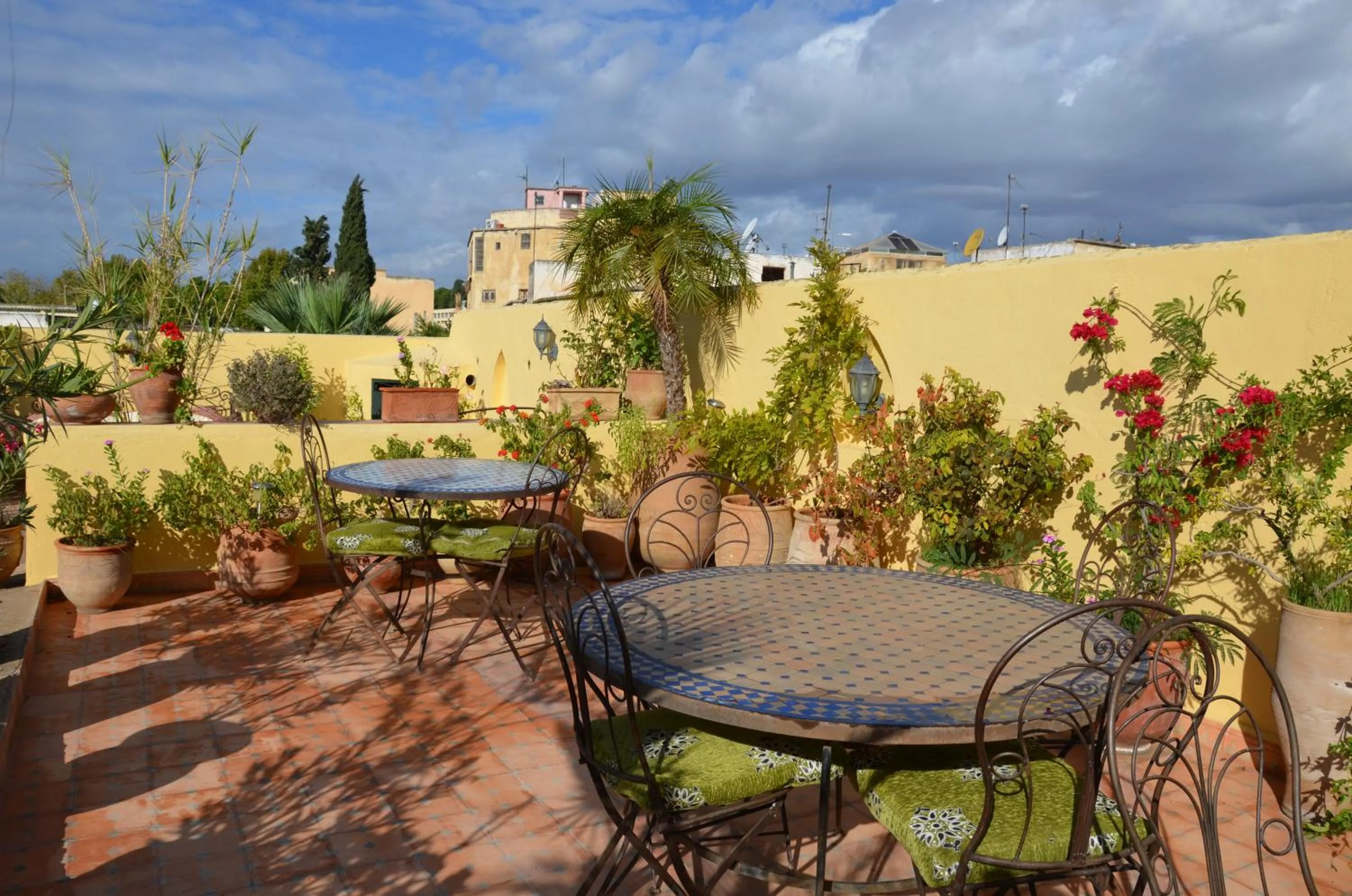 Day in Riad Al Bartal