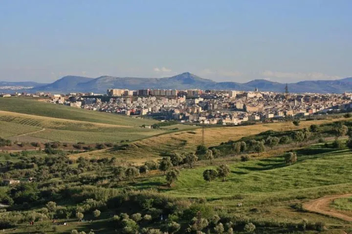 Day in Riad Al Bartal